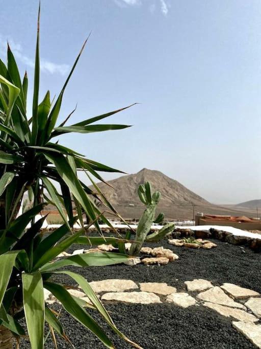 Vivienda sostenible, vistas espectaculares
