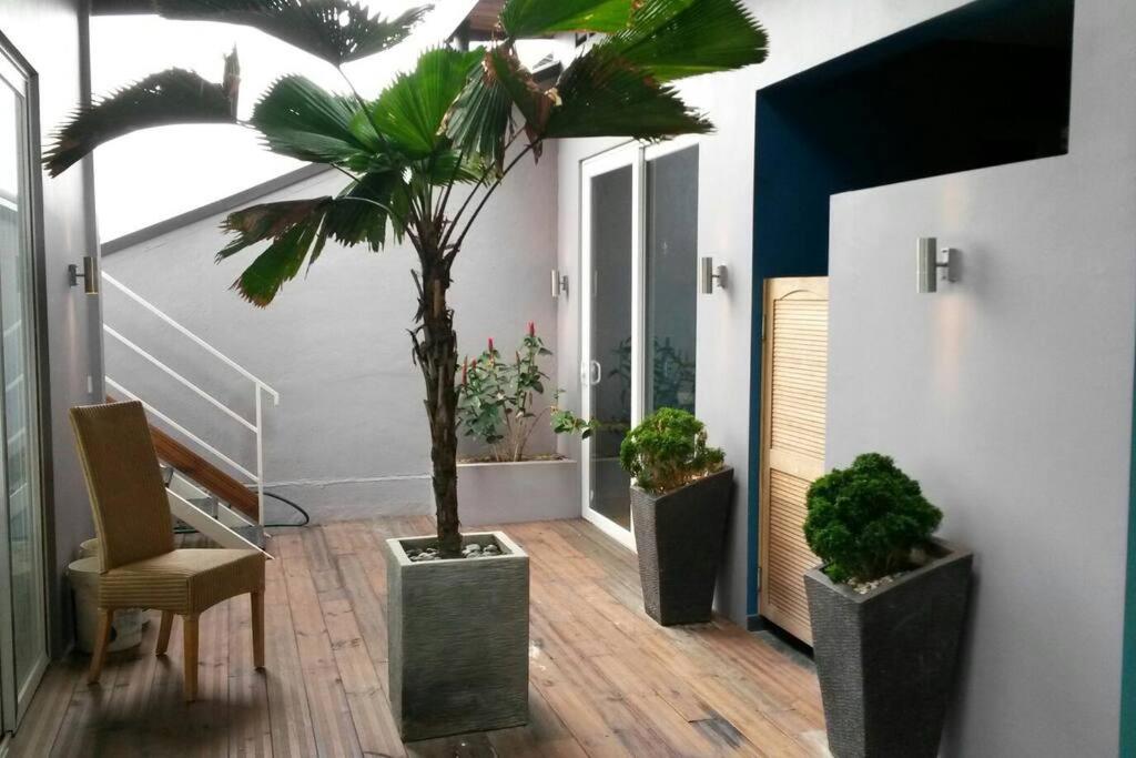 Penthouse with Roof Top Garden
