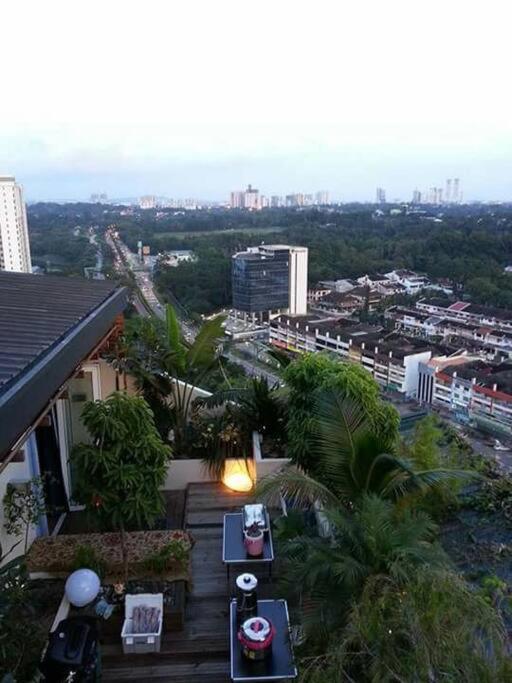 Penthouse with Roof Top Garden