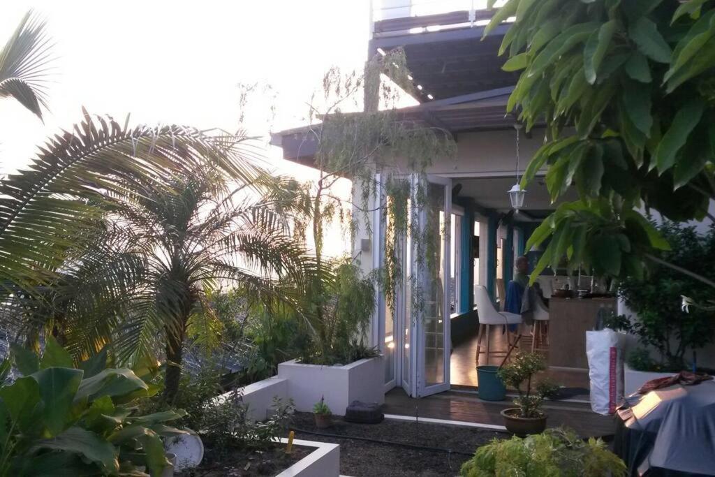 Penthouse with Roof Top Garden