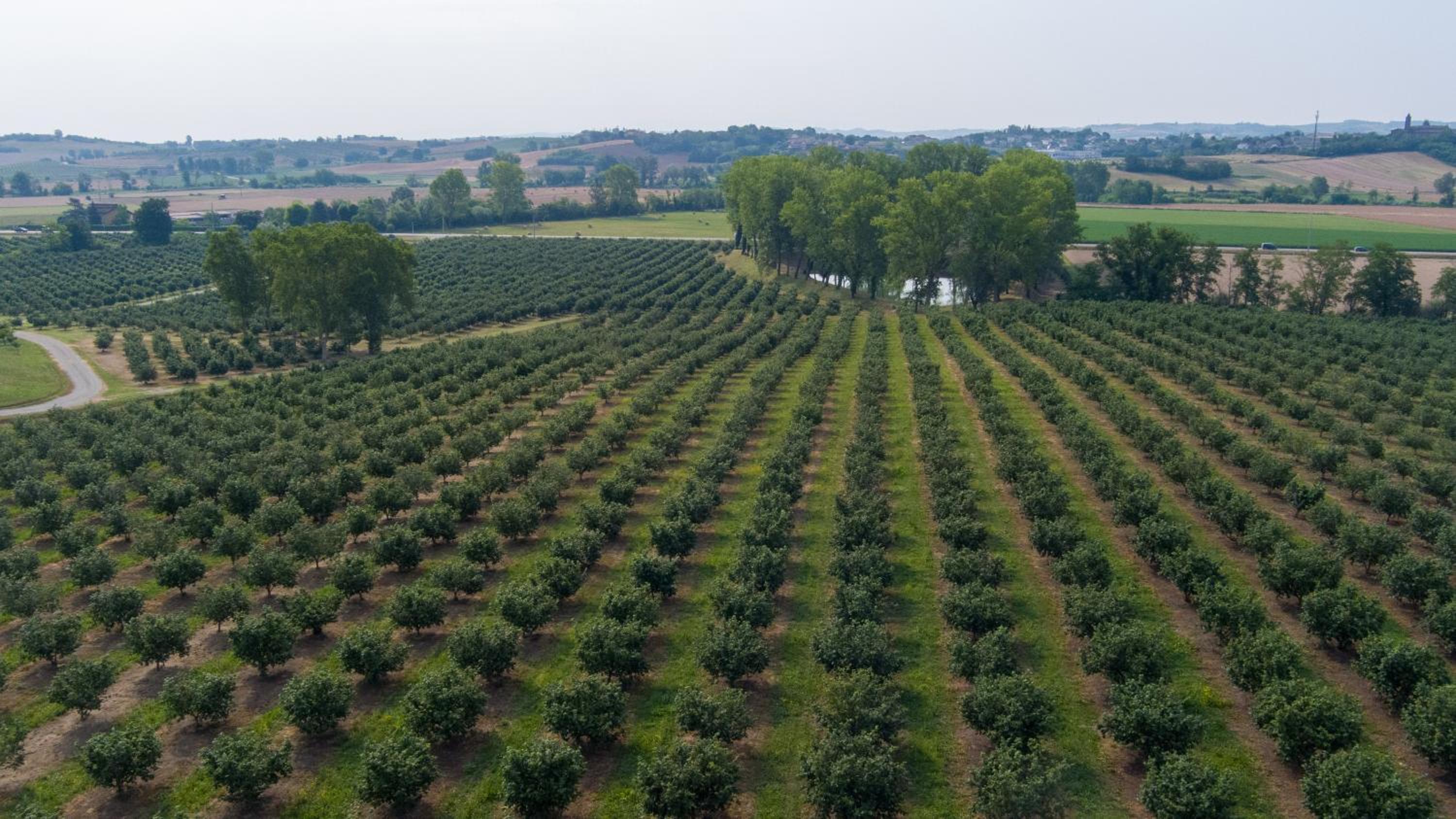 Cascina Baronina