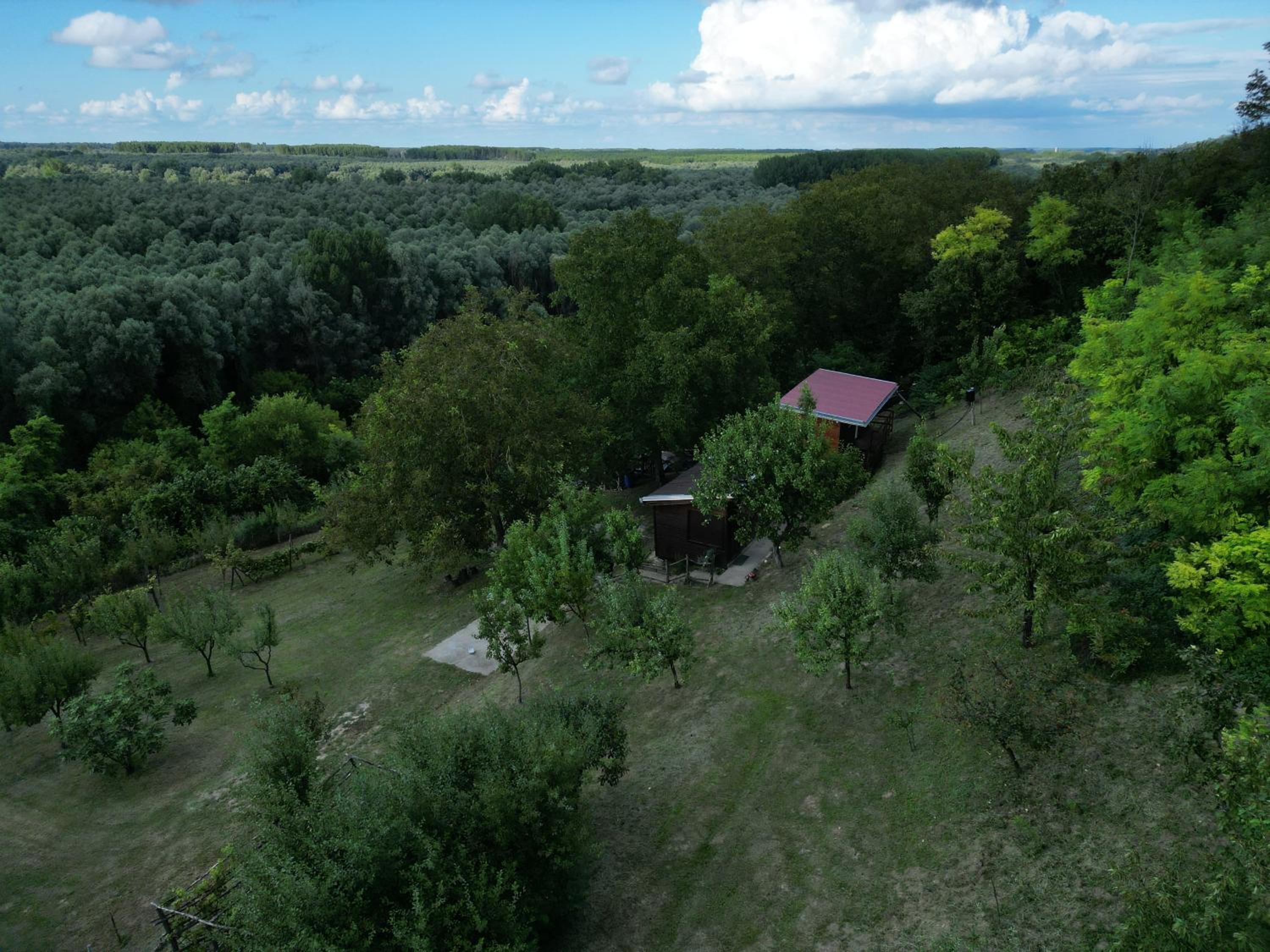 Photo 46