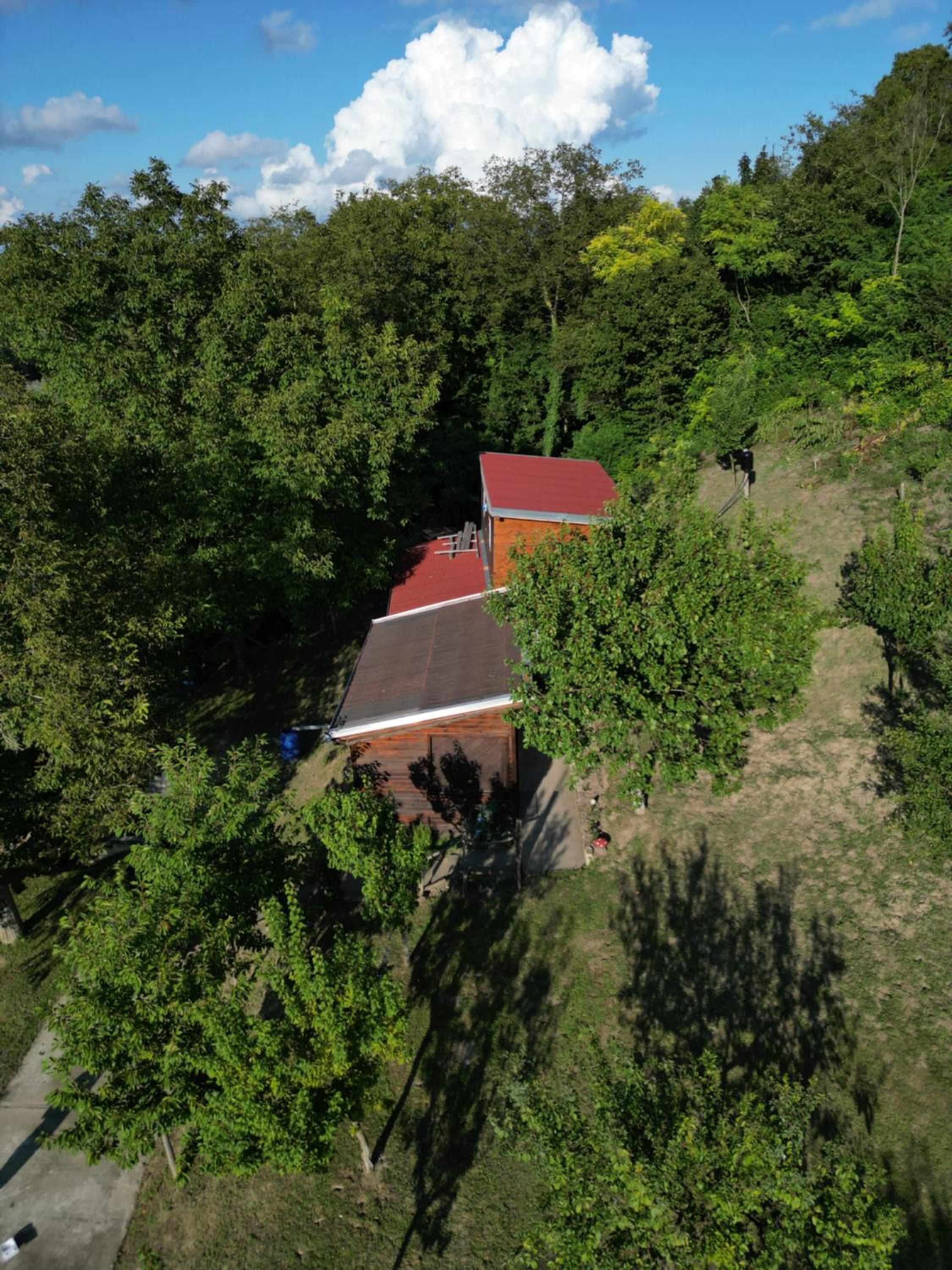 Photo 42