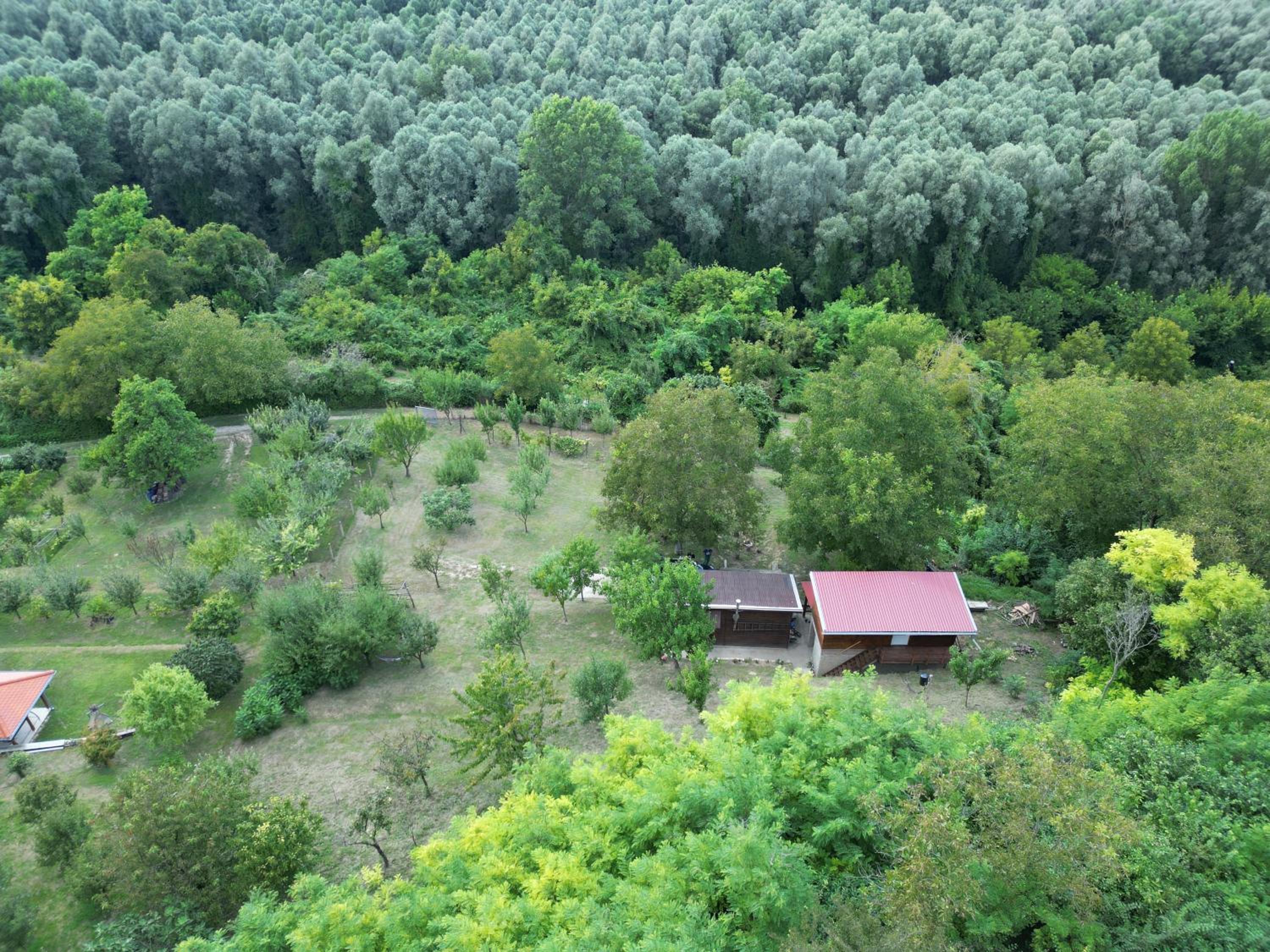 Photo 45