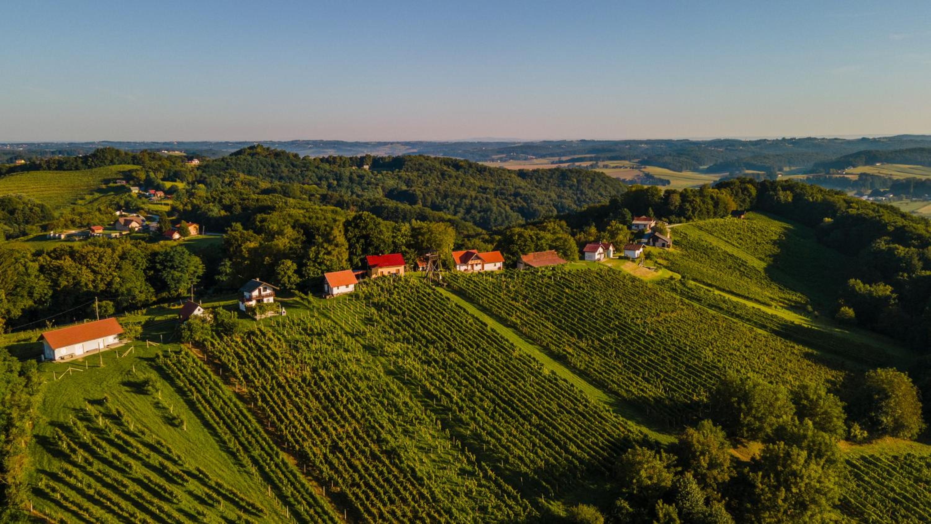 Villa VINEYARD