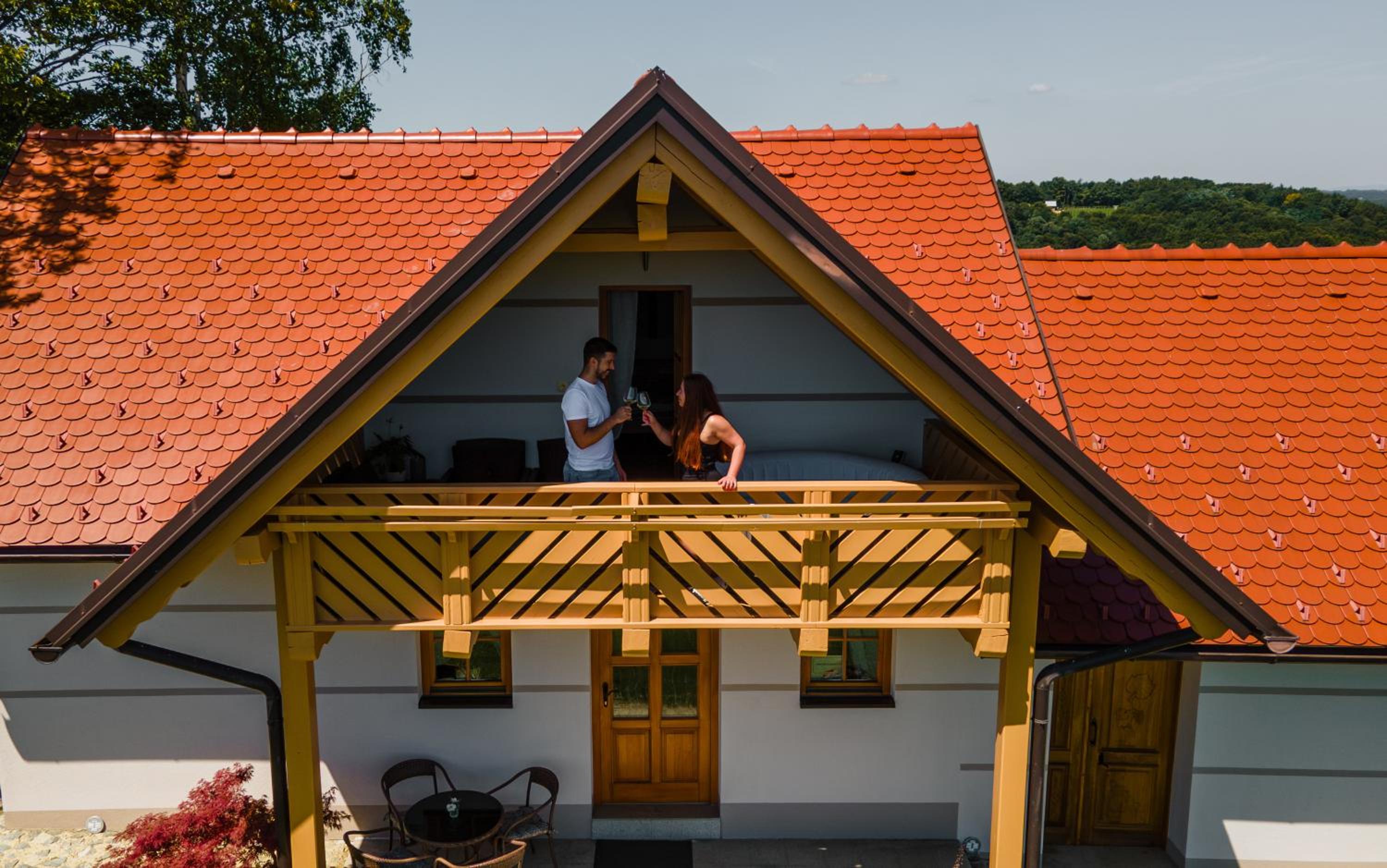 Villa VINEYARD