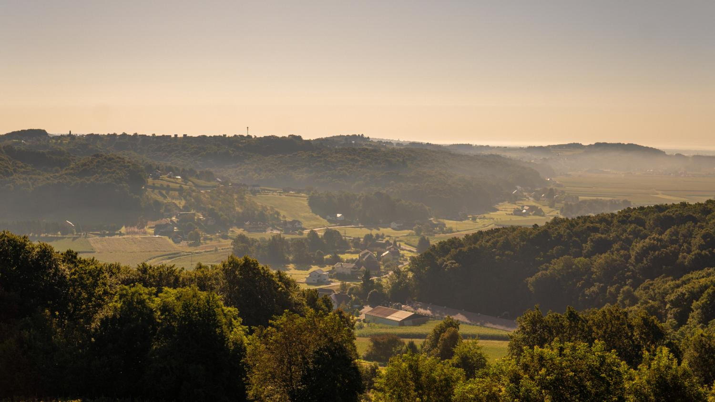 Villa VINEYARD