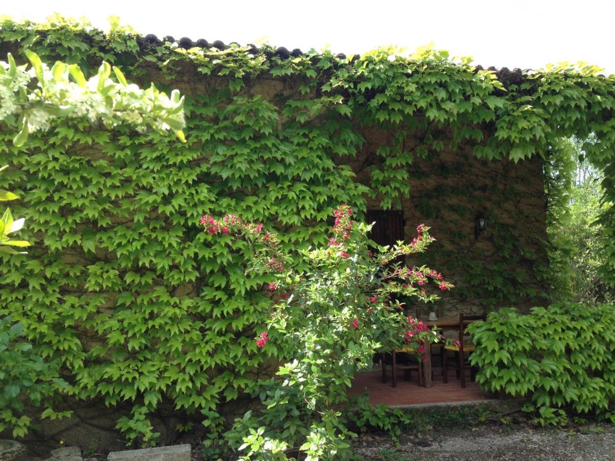Photo 52