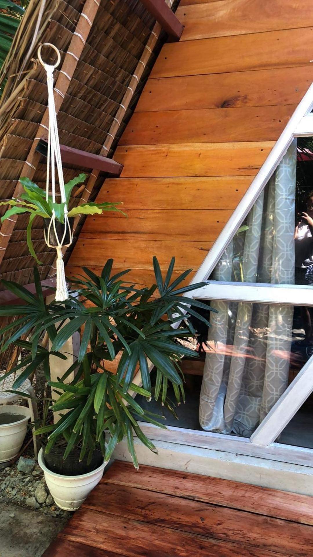 Bohol Island Homestay