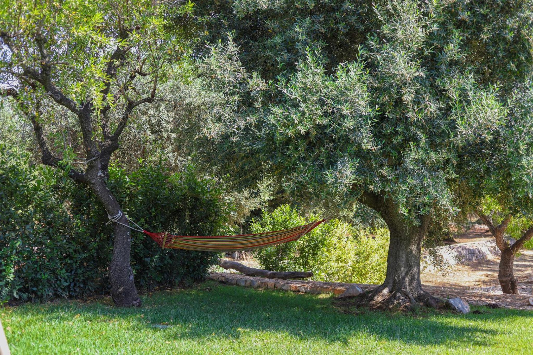 TD Trulli della Magnolia Trulli w Amazing Garden photo 3