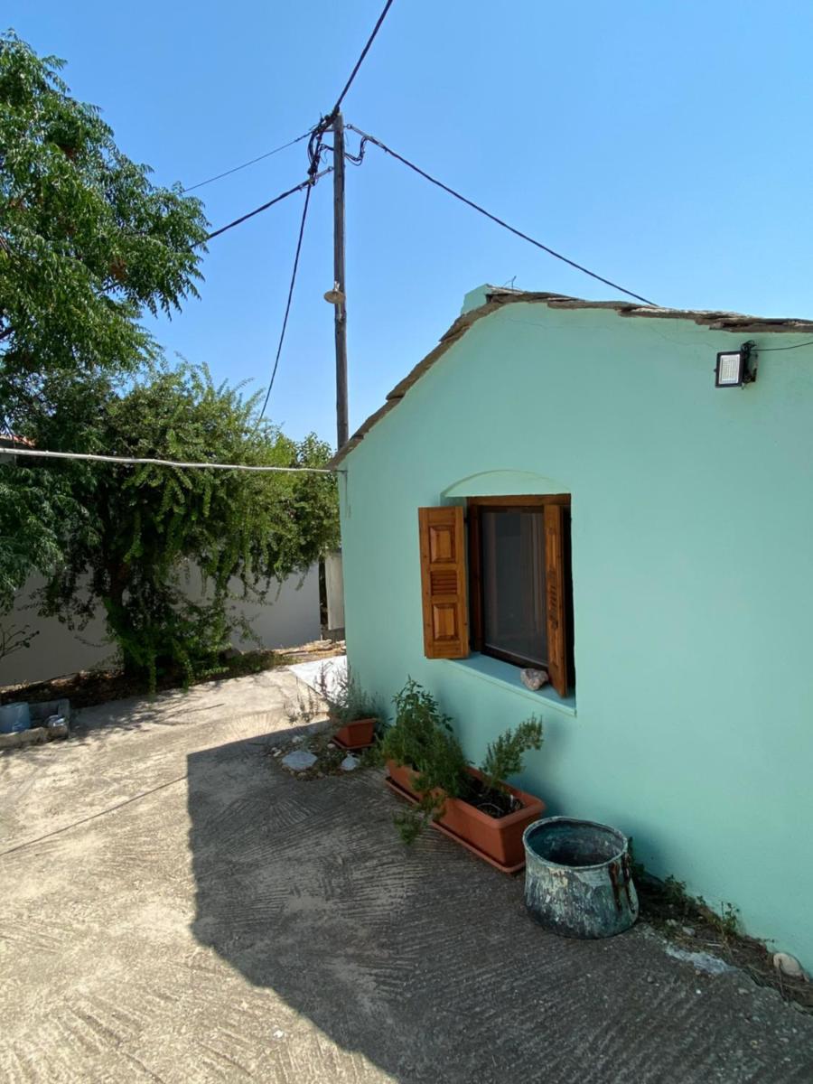 Tiny Big House photo 2