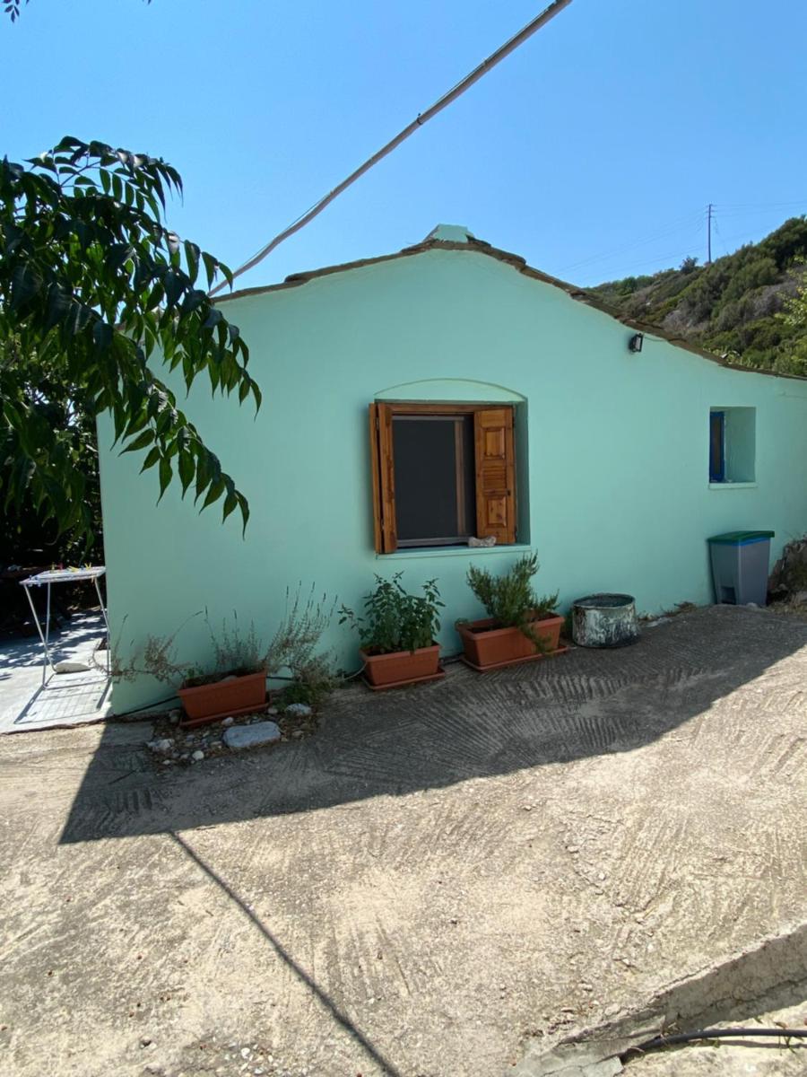 Tiny Big House photo 4
