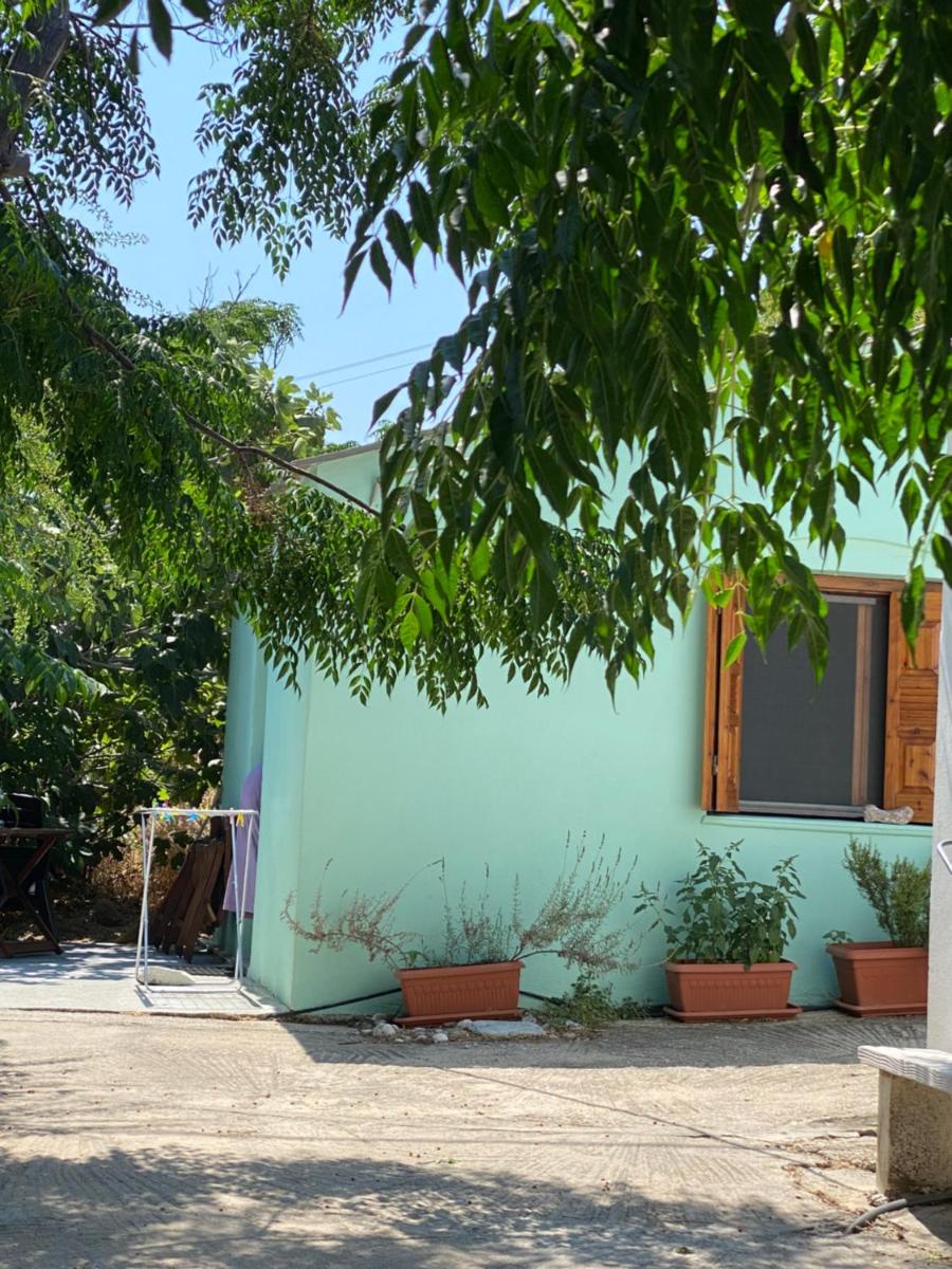 Tiny Big House photo 3