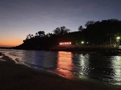 Calangute Beach Palms