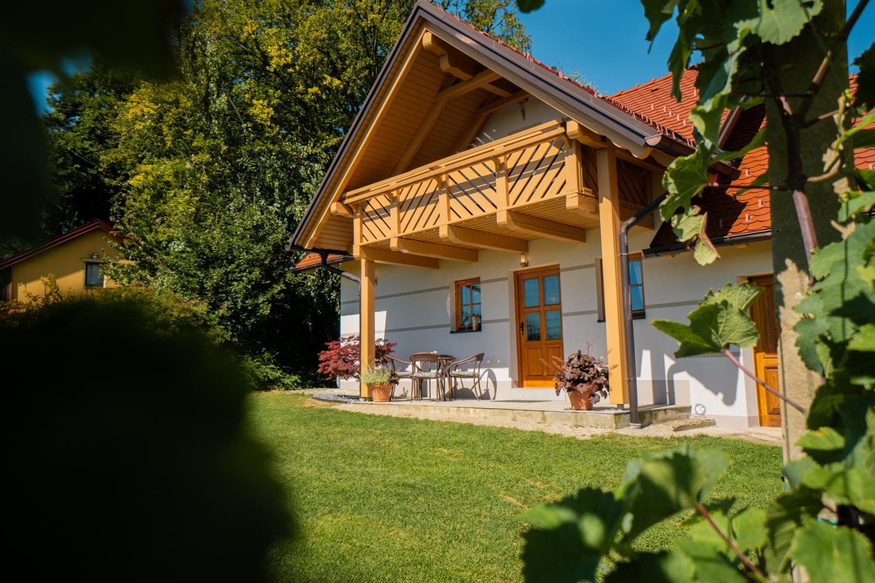 Villa VINEYARD