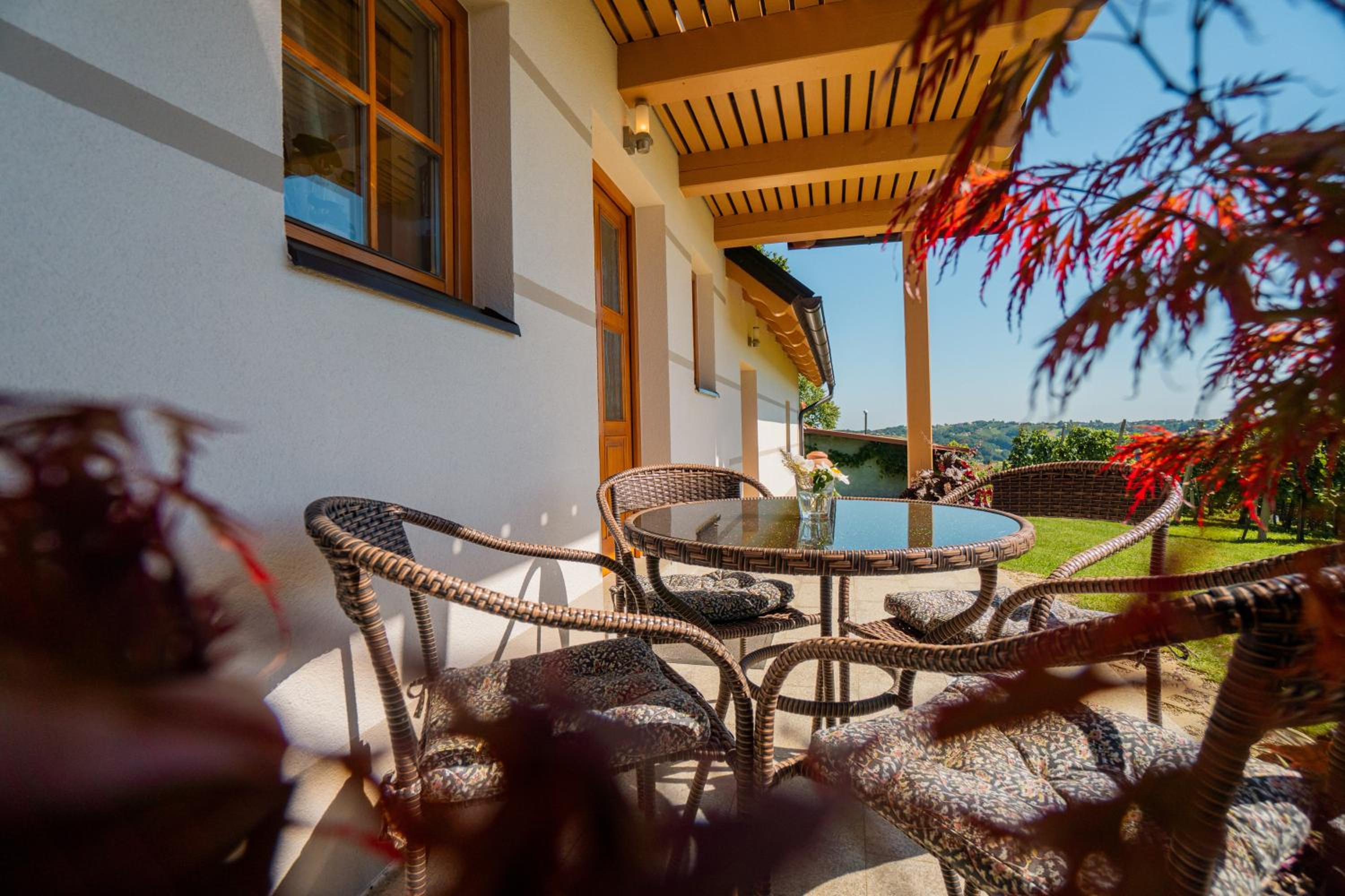 Villa VINEYARD