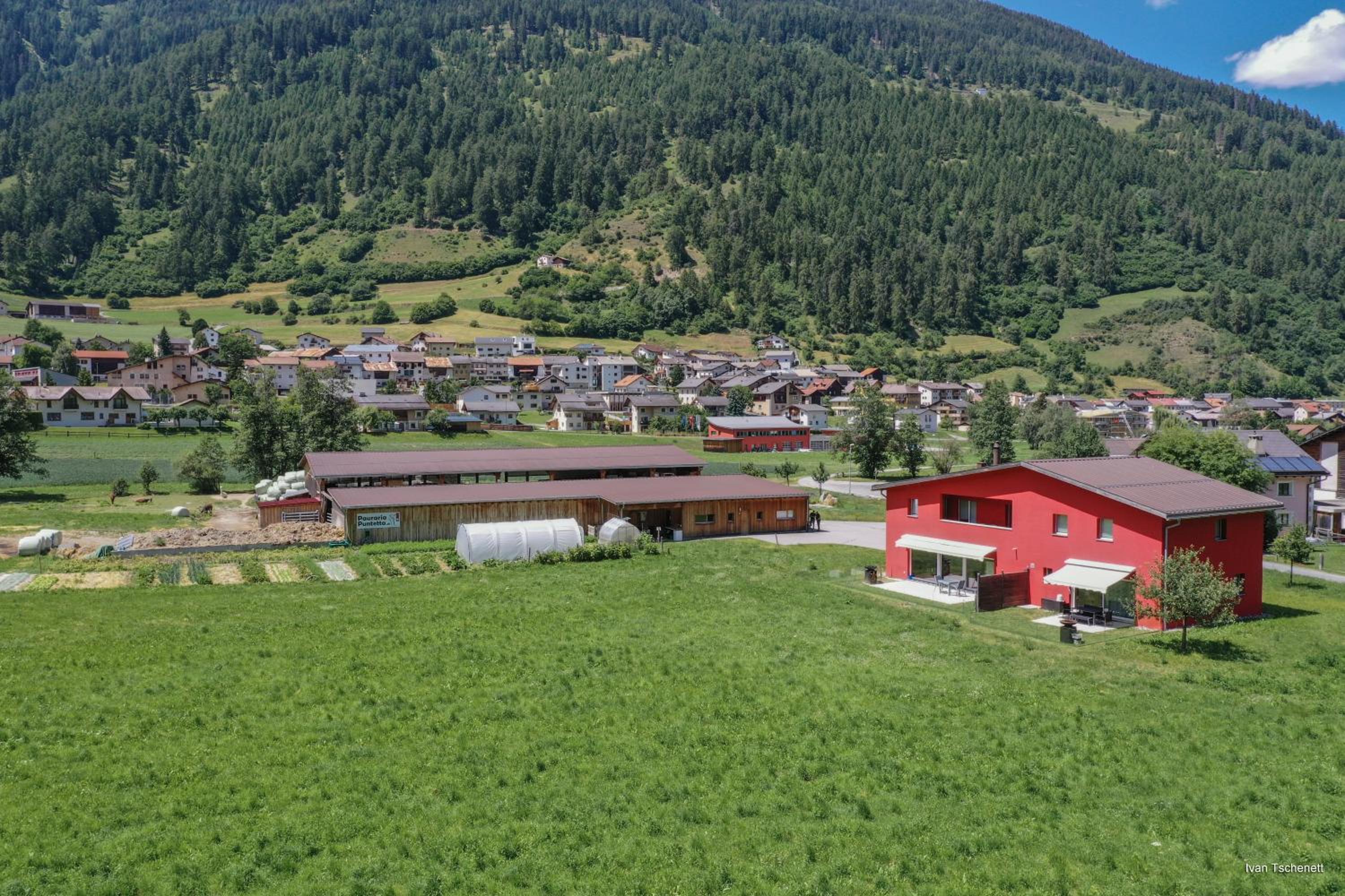 Pauraria Puntetta view 3