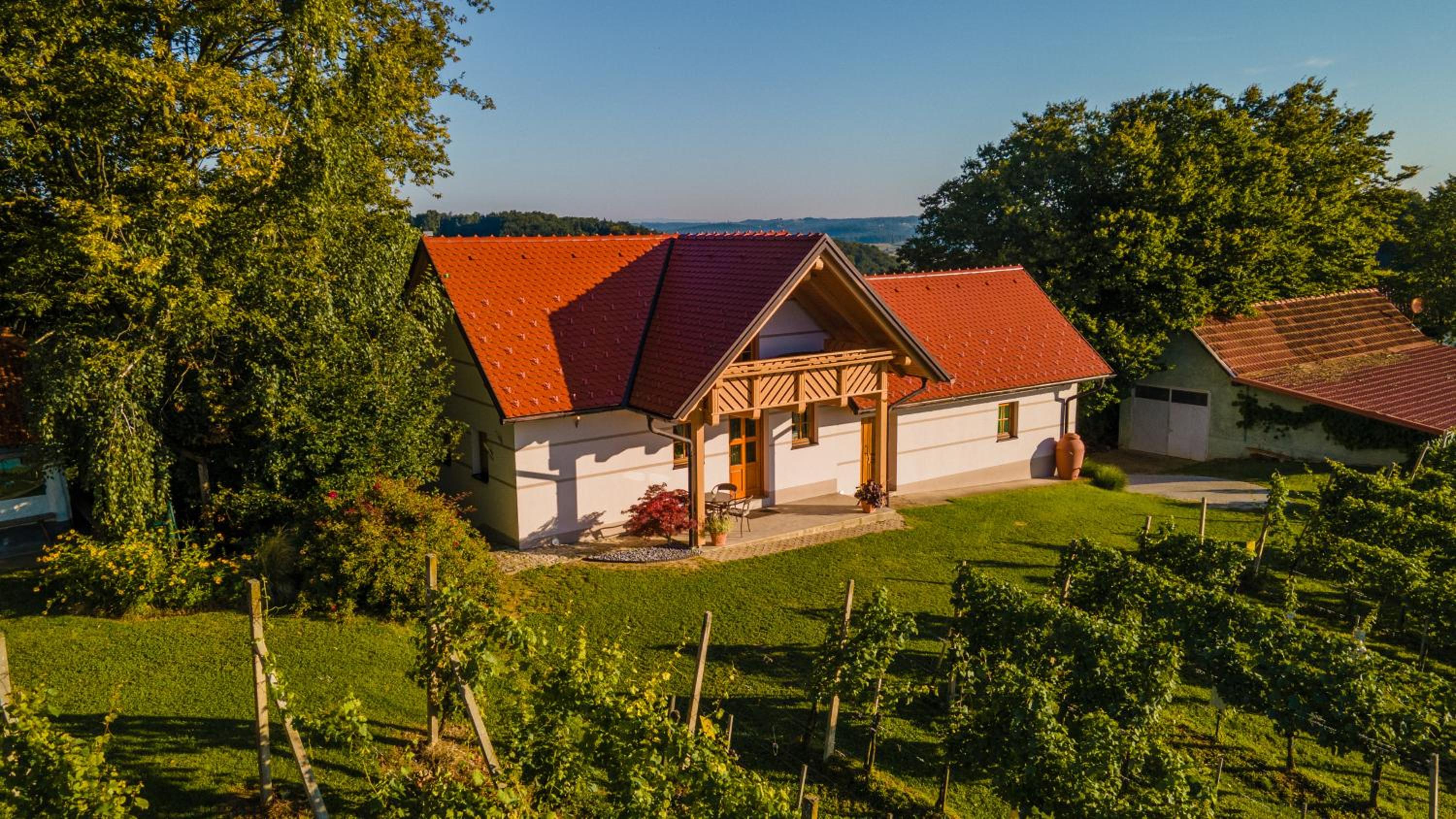 Villa VINEYARD