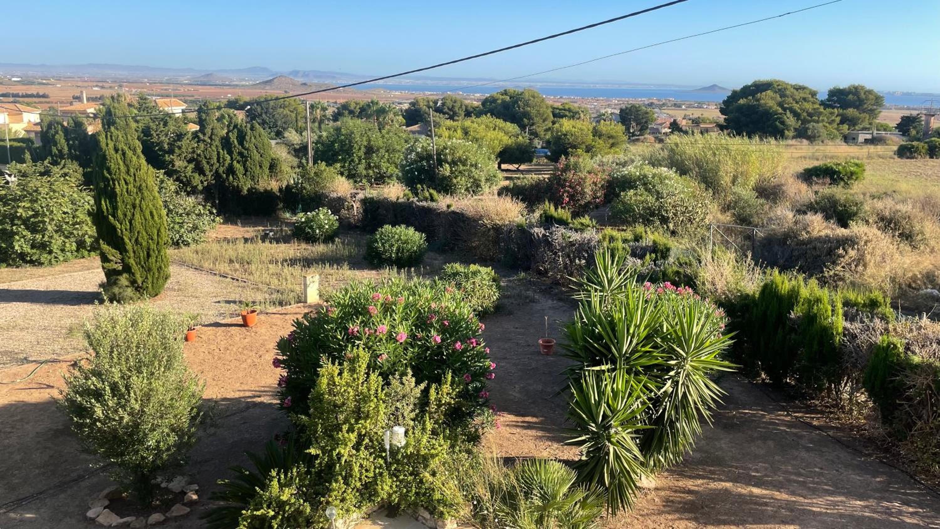 Los Chopos, Tranquil Rural Paradise with Private Pool & Outdoor kitchen