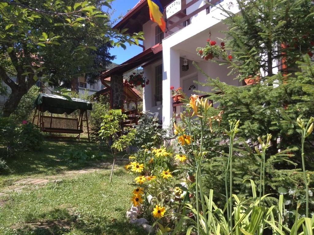 Vila Mikdonia - Predelut Home view 3