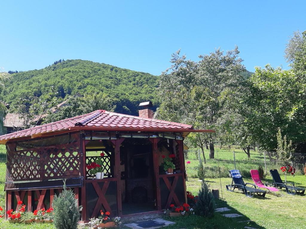 Photo 8