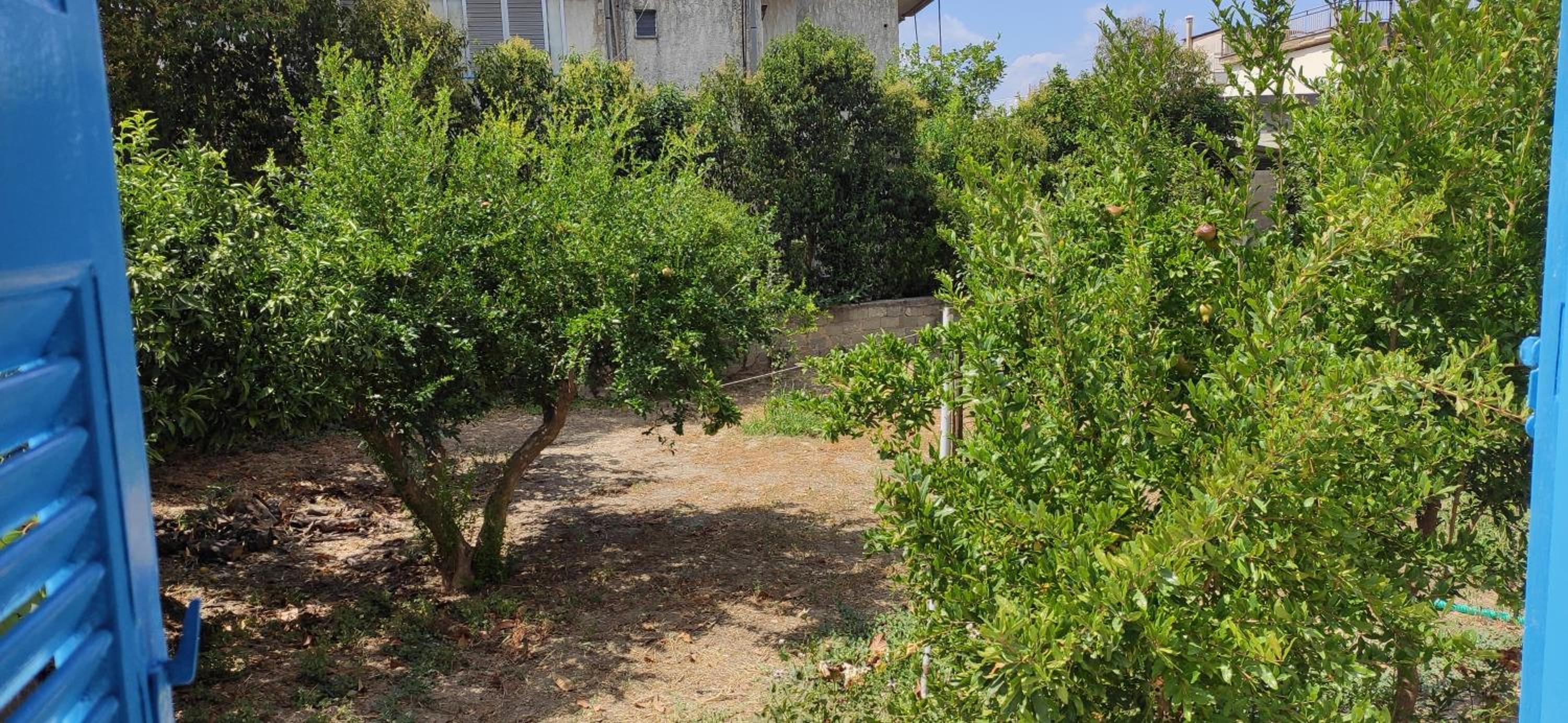 Garden house