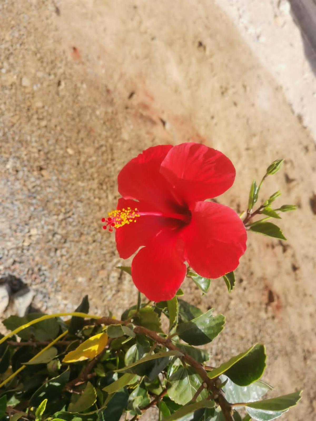 Photo 28