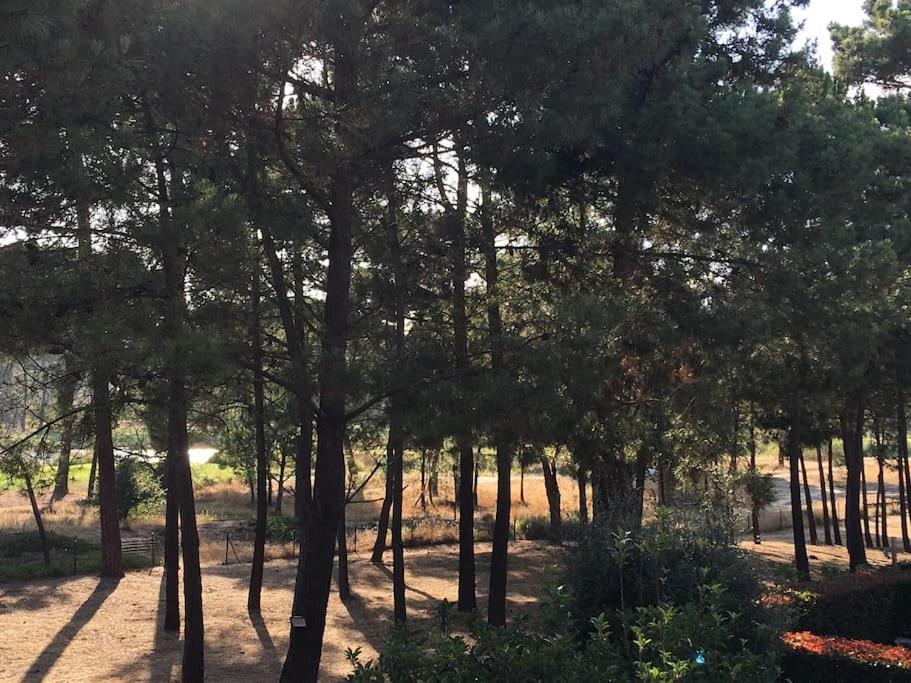 Aroeira Golf view 3