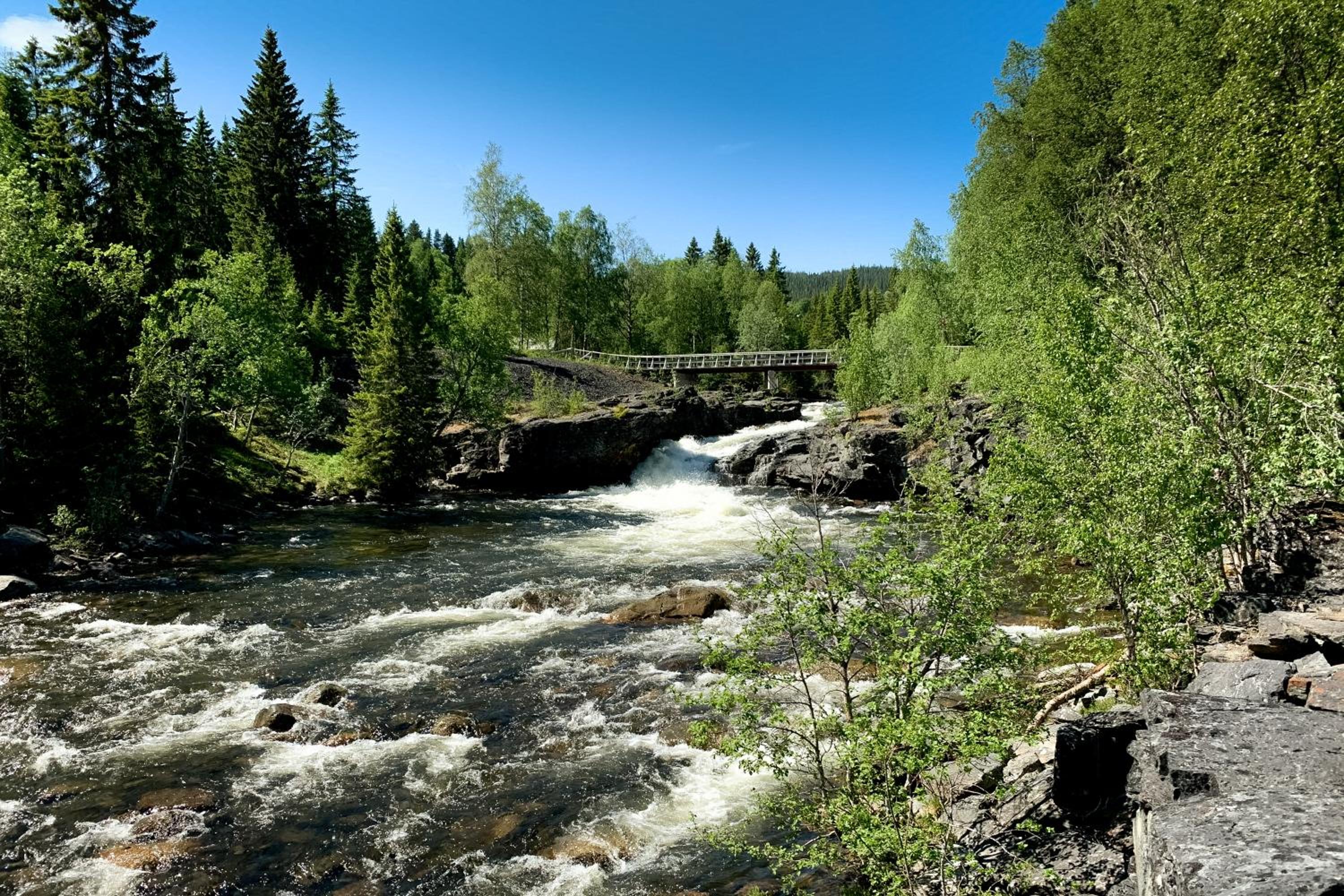 Photo 26