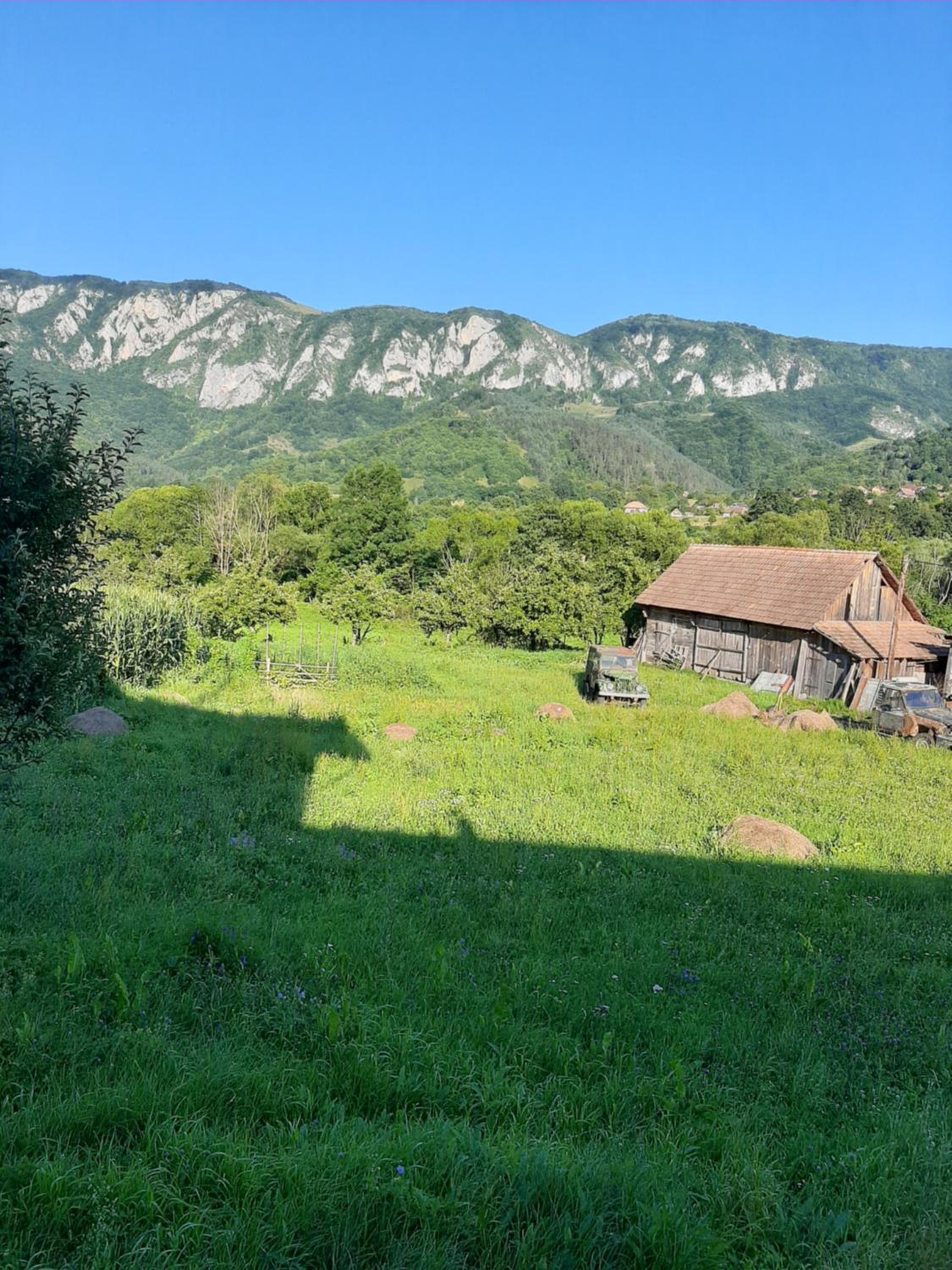 Pensiunea codru