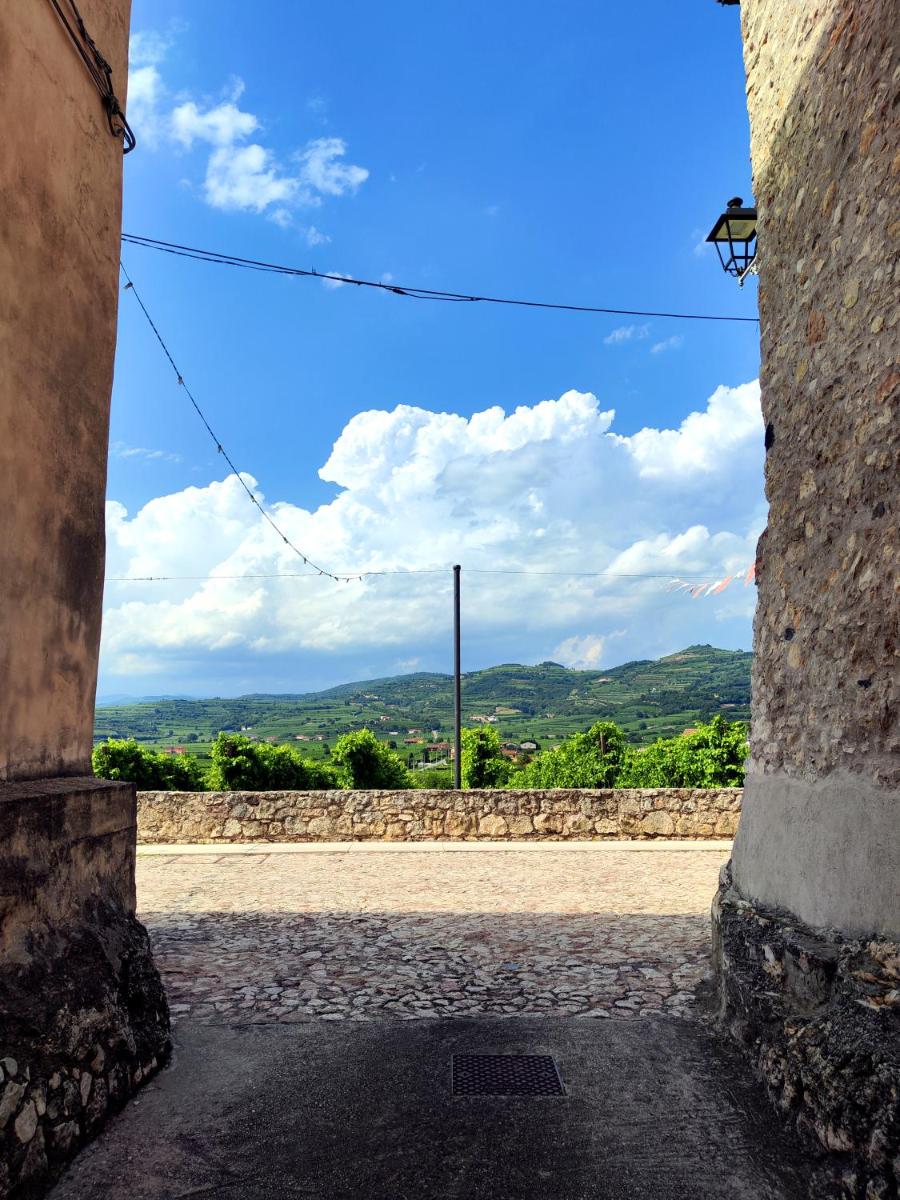 Stanza Allegra Soave