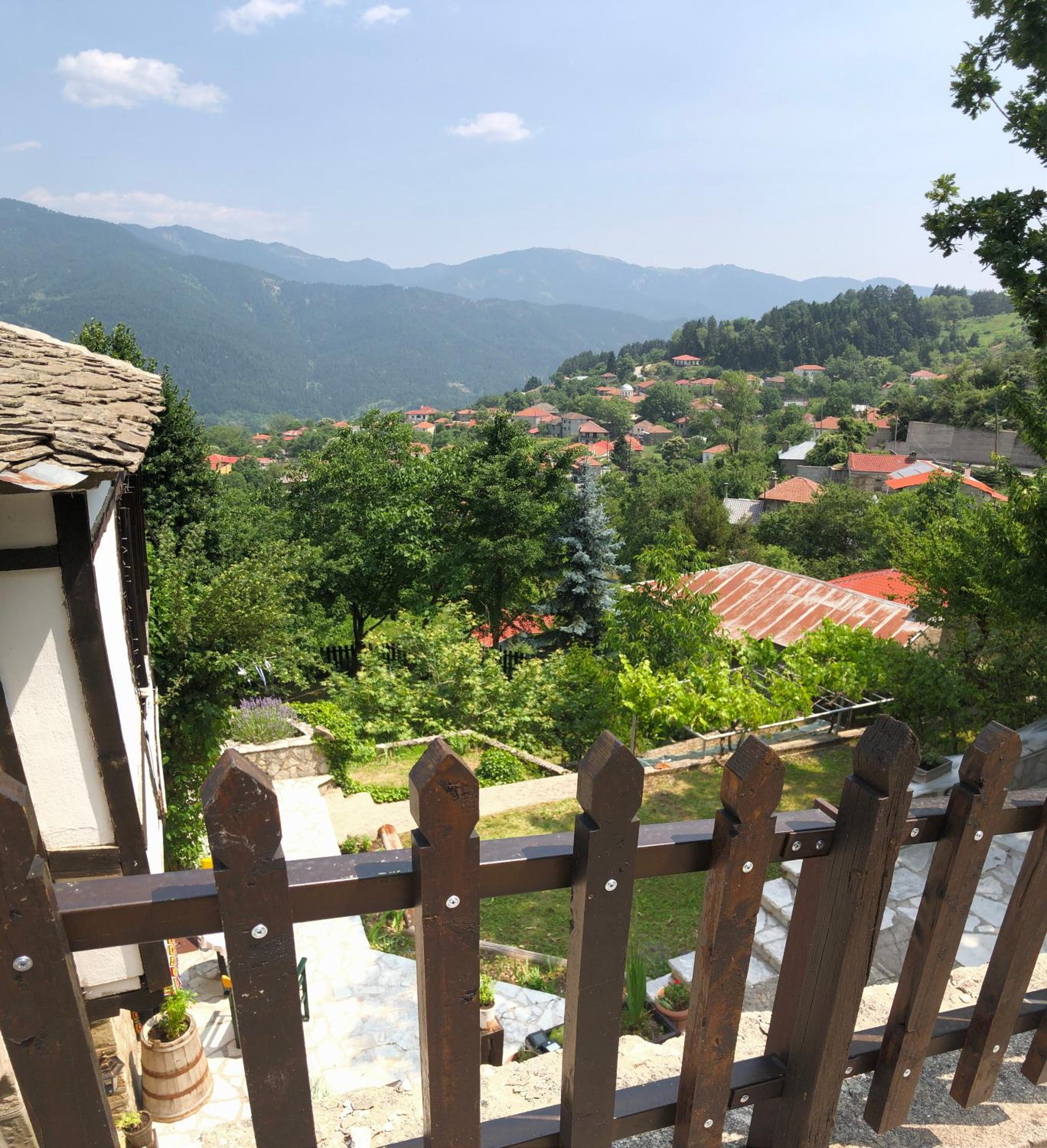 ΤΟ ΑΡΧΟΝΤΙΚΟ view 5