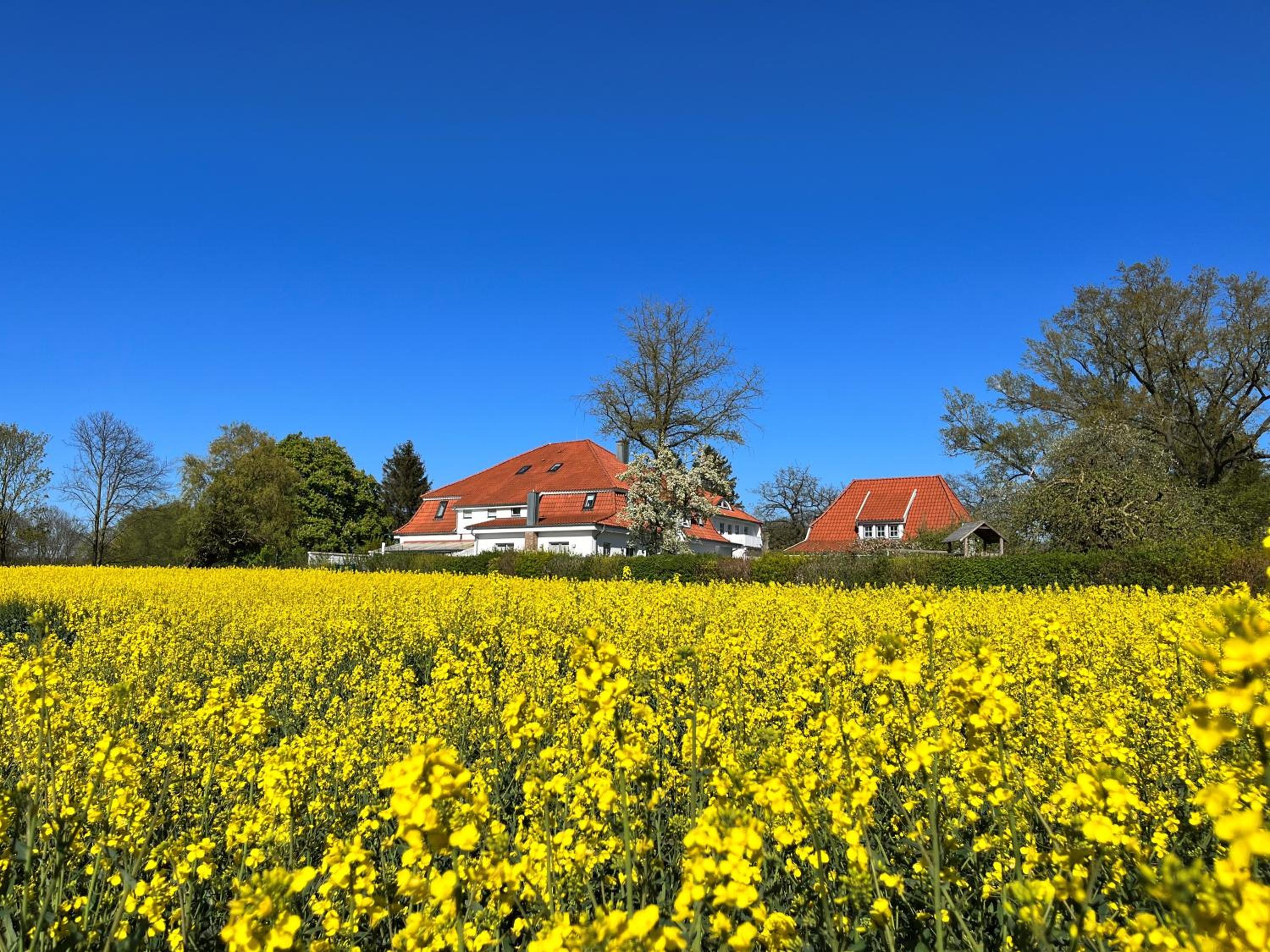 Landidyll Elmenhorst Wohnung 01