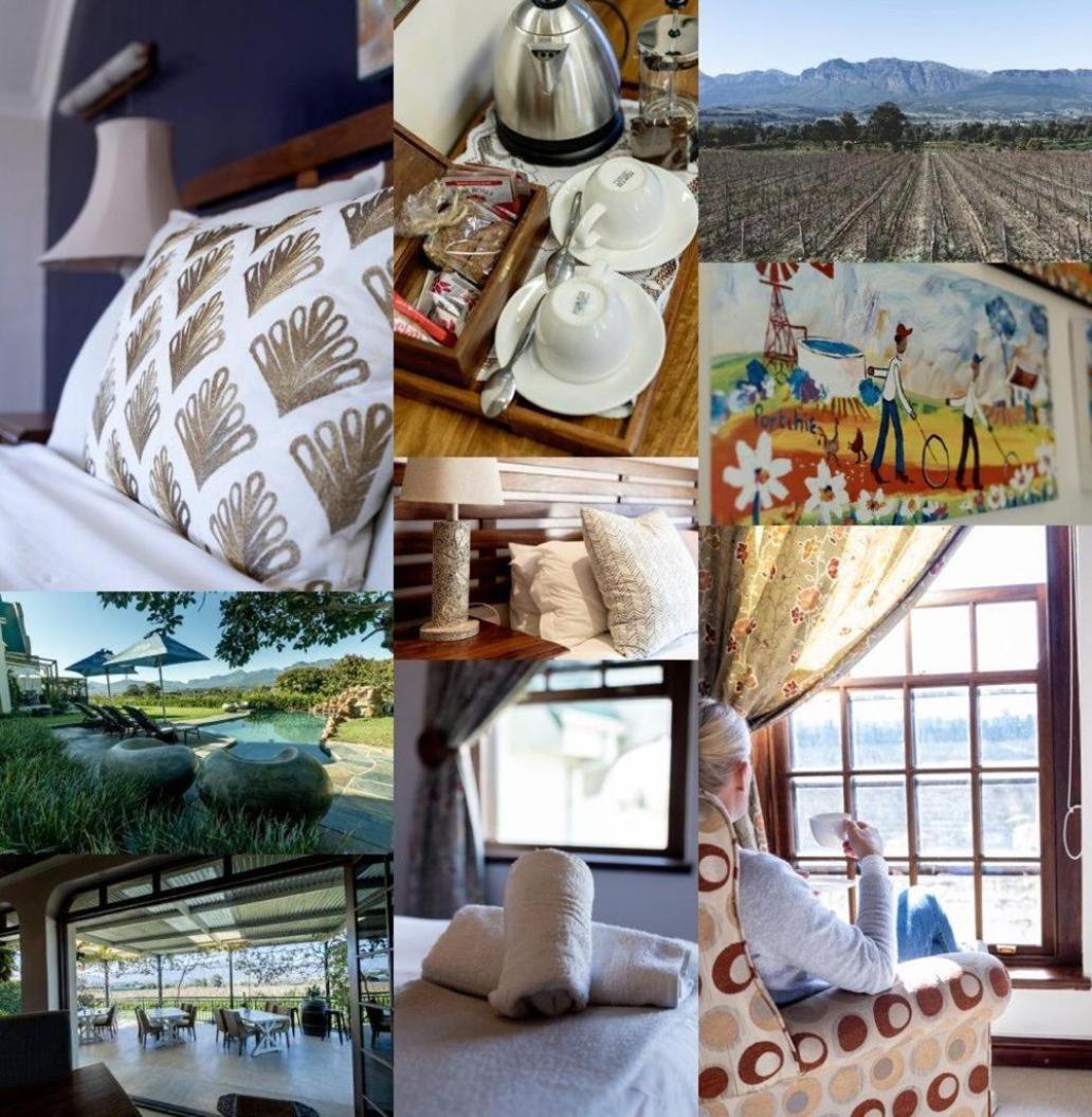 Cana Vineyard Guesthouse view 4