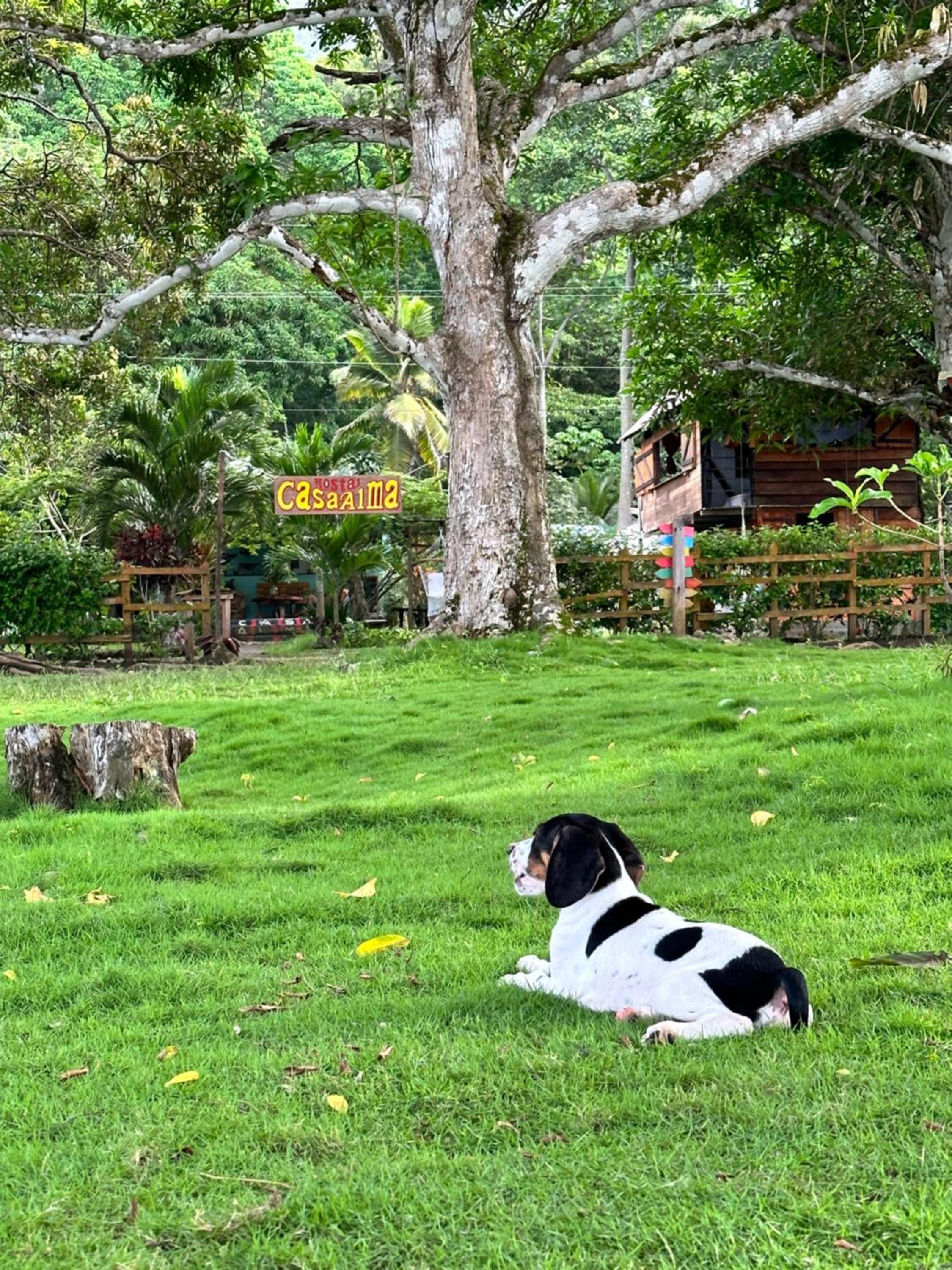 Casa Alma
