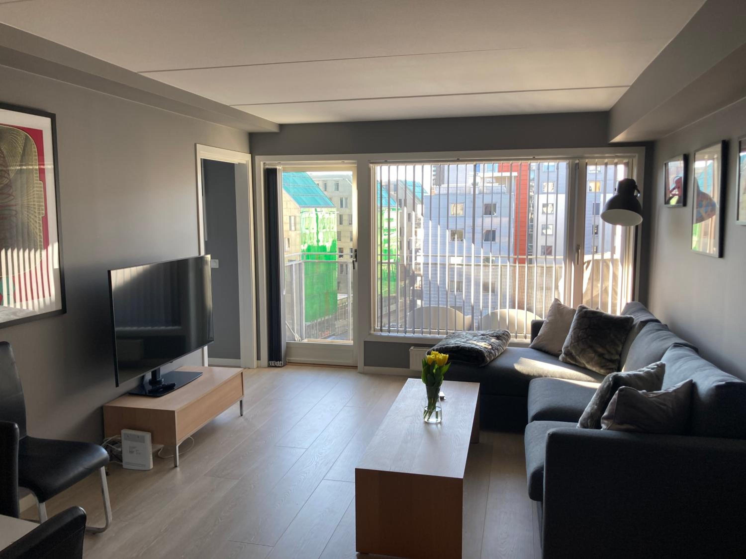 Modern 2 bedroom apartment in Oslo city centre view 3