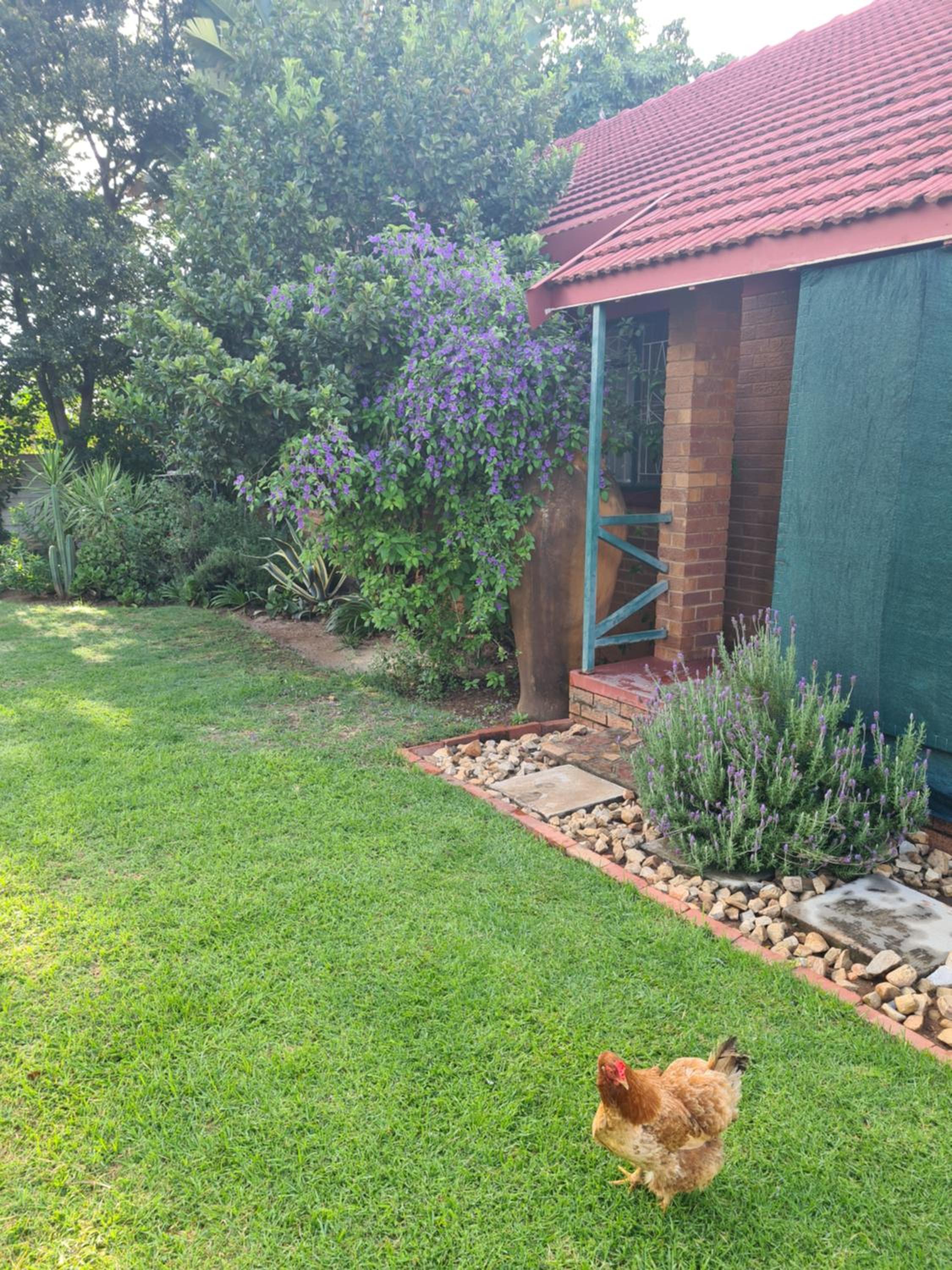 The Old Cabin