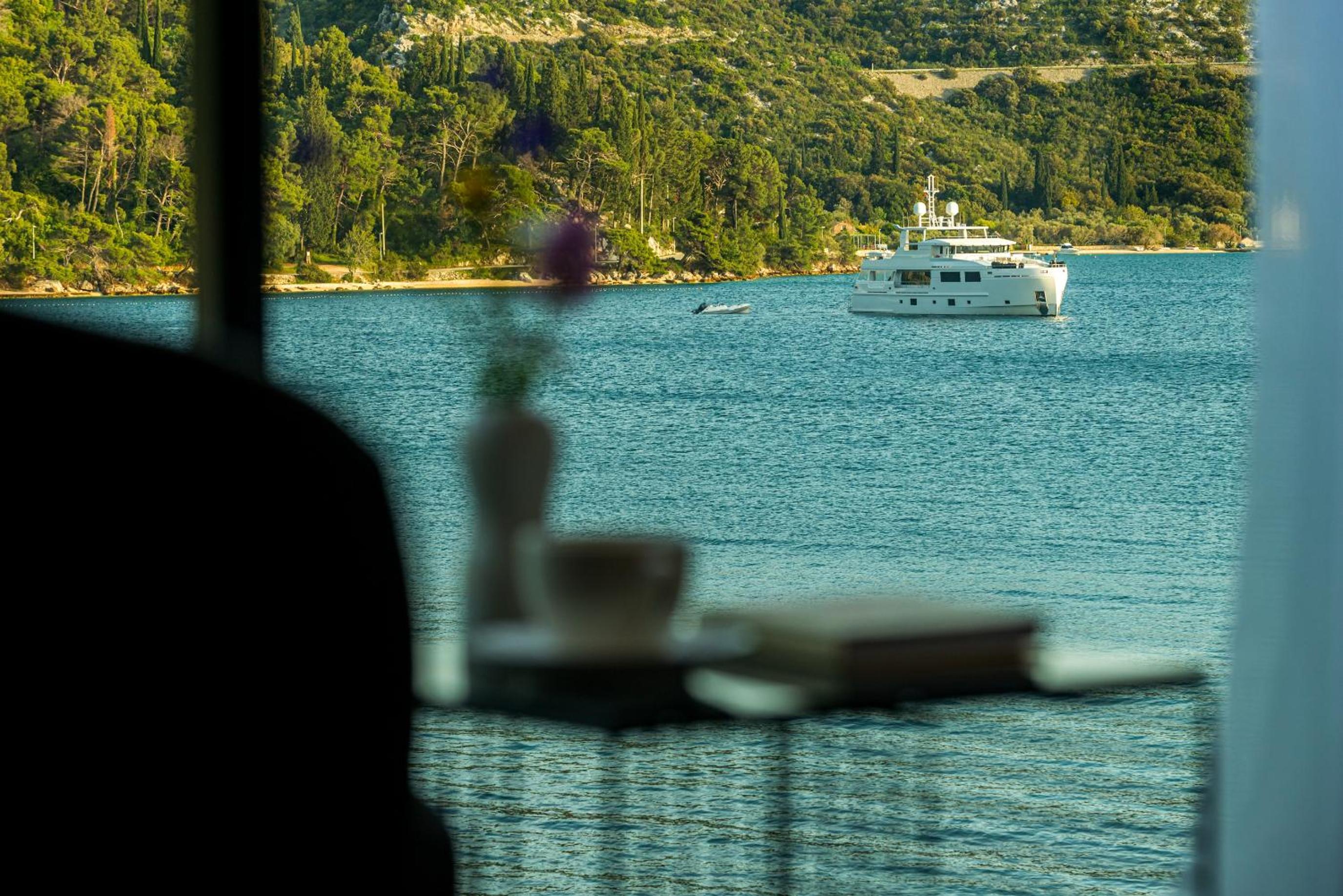 Captivating Dubrovnik Villa Villa Belle Riviere Private Infinity Pool