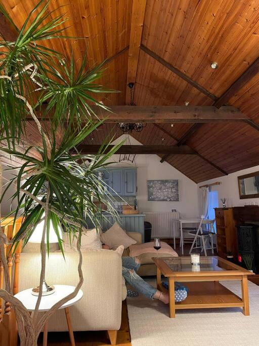 Converted Victorian Coach House on the North Coast view 3