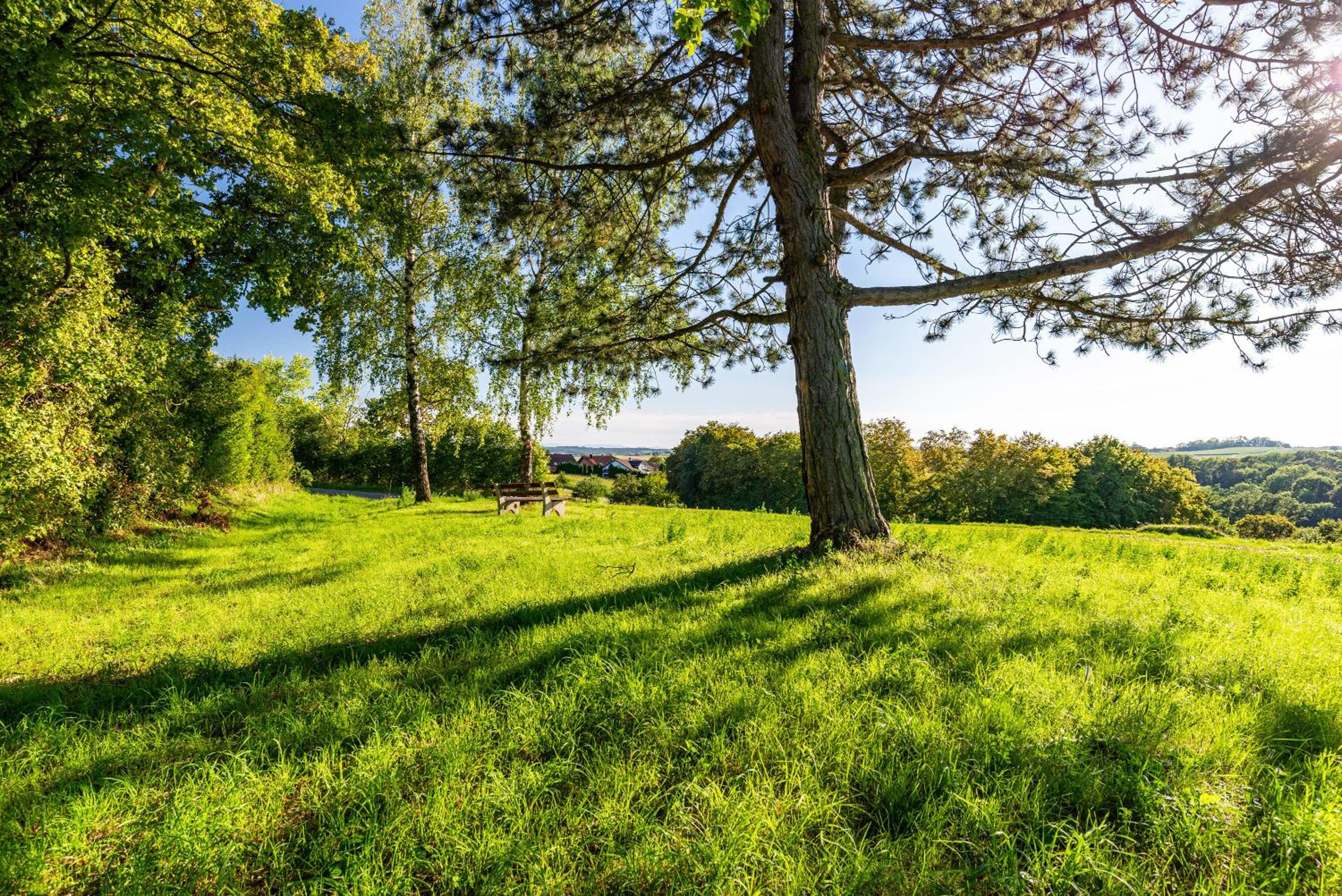 Hügelblick Oase
