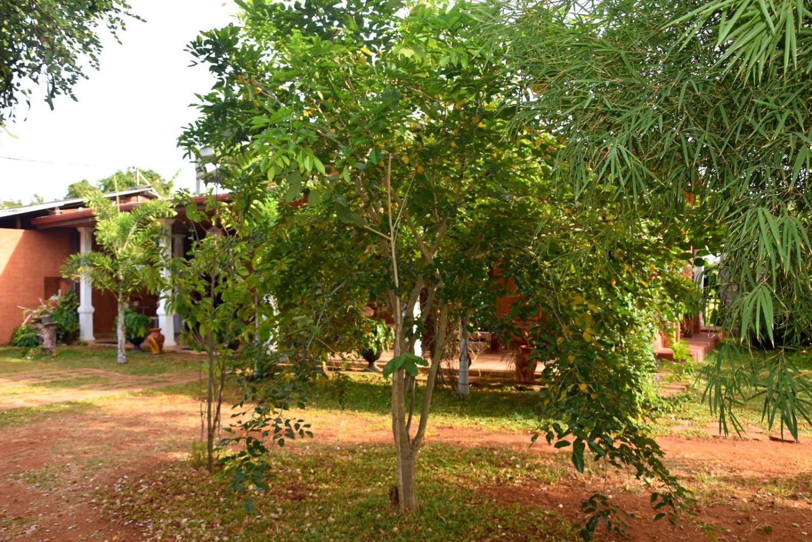 Photo 48