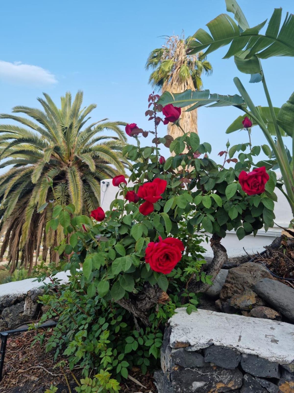 Rural Jardines la Quinta