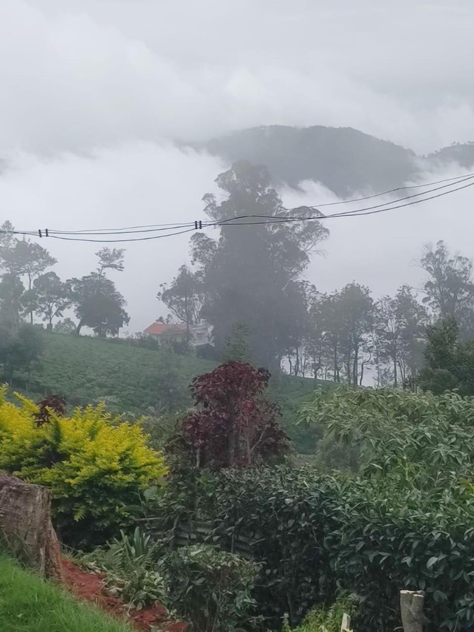 The Orange Home view 4