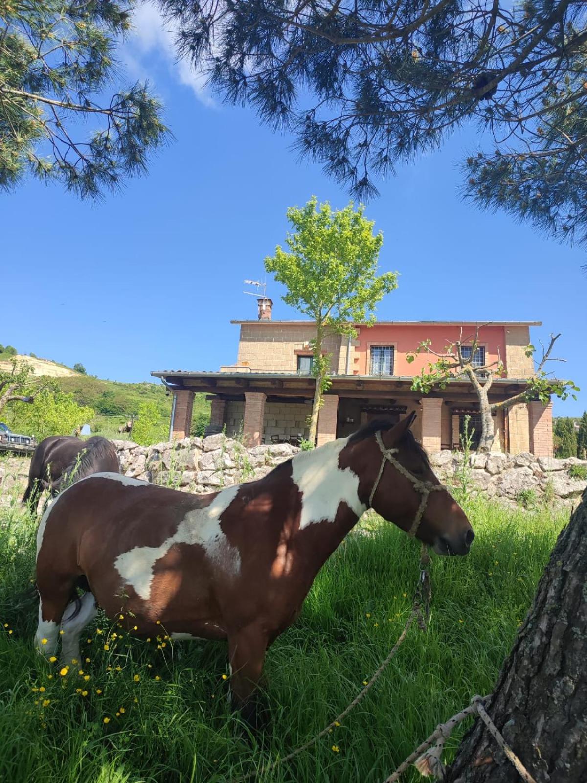 Tenuta Vittoria