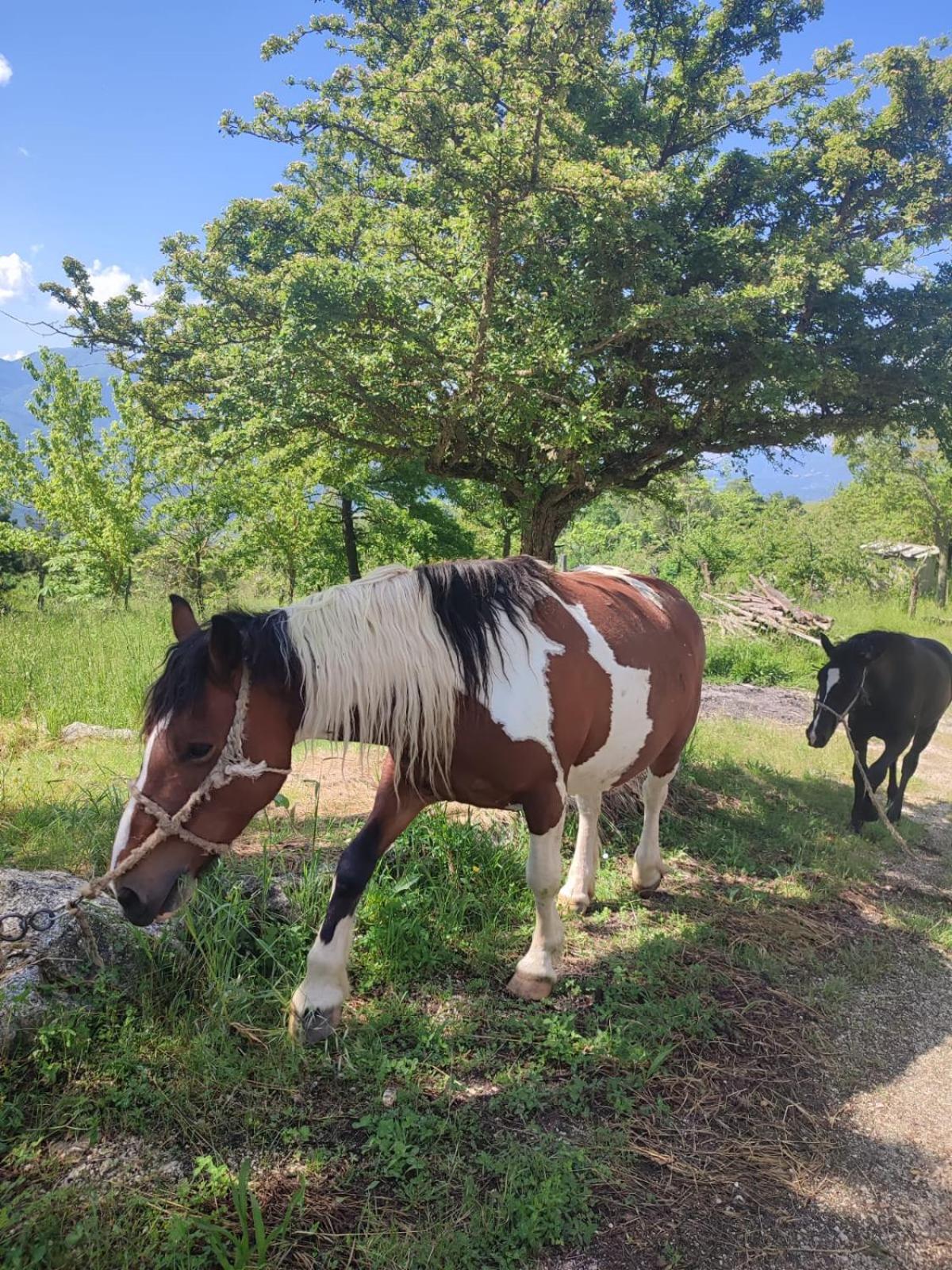 Tenuta Vittoria