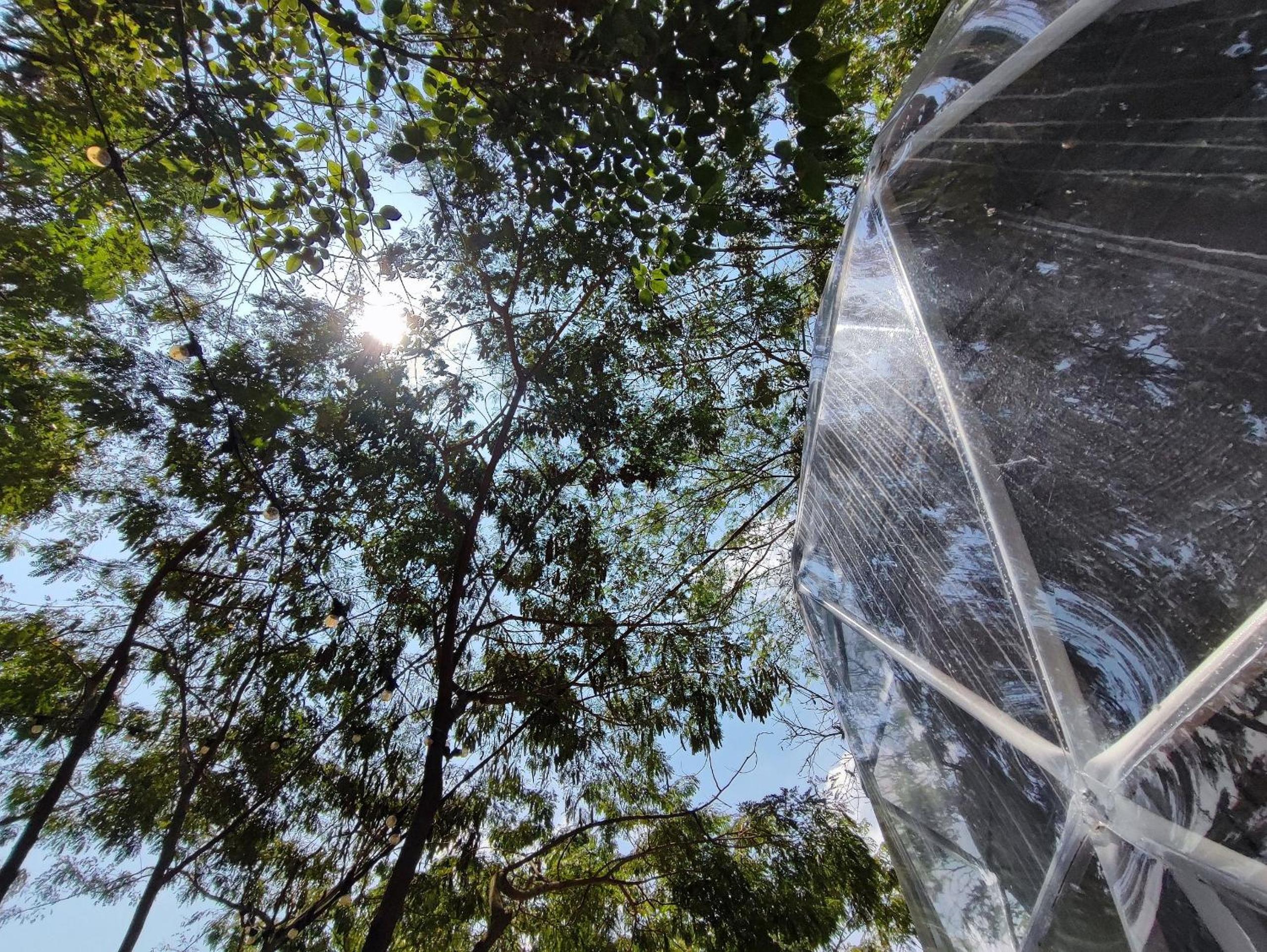 Romantic glamping at Vista Hermosa, enjoy nature in a private and cozy environment.