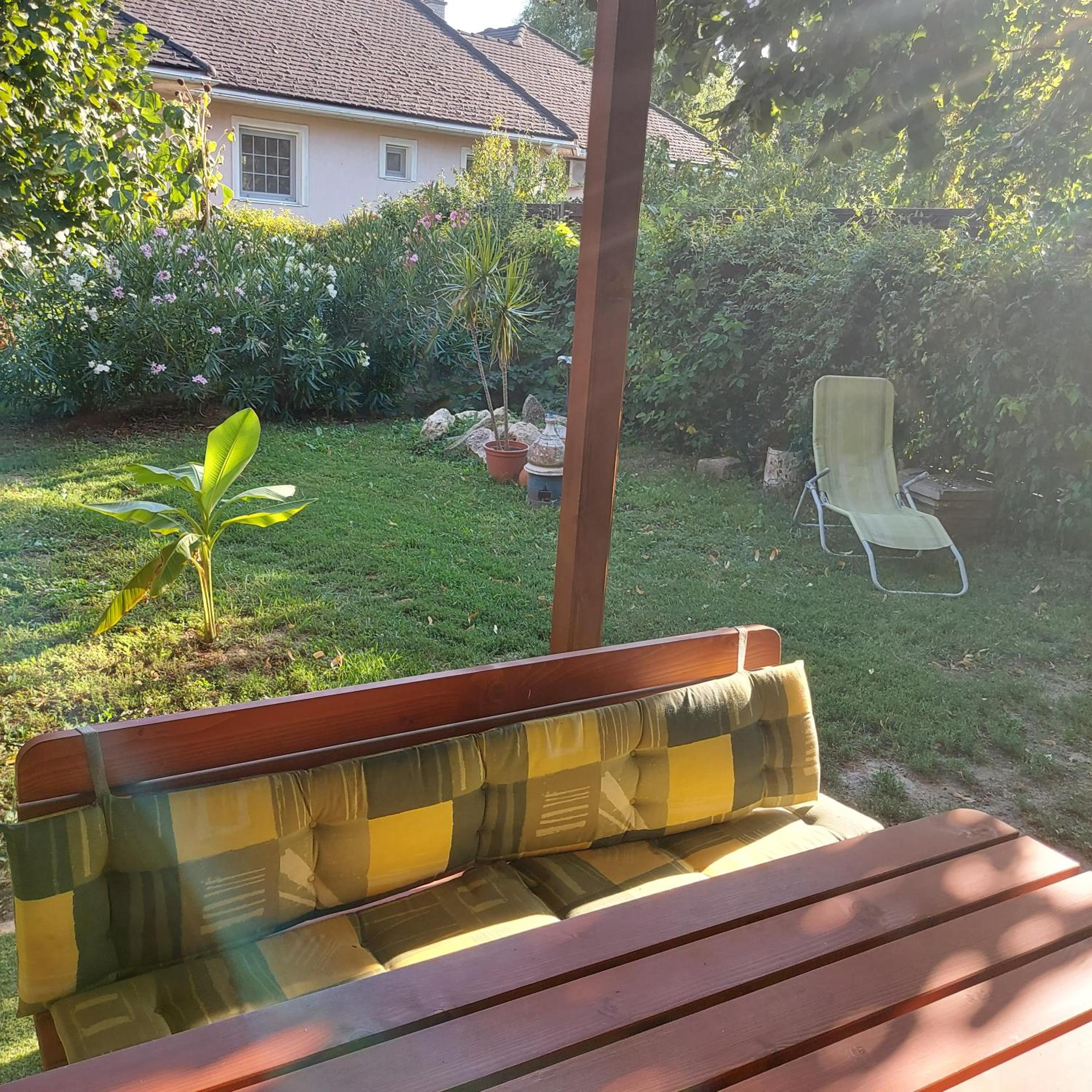 Photo 51