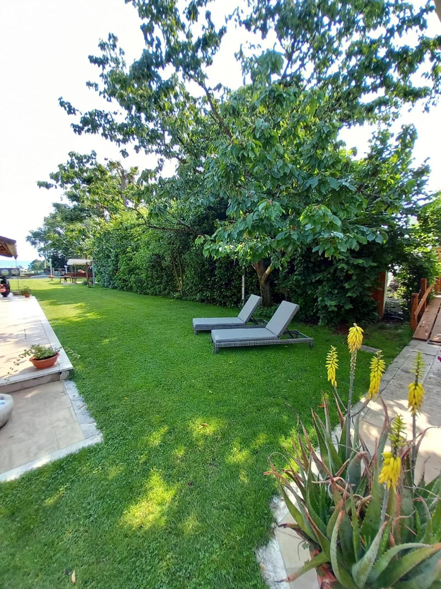 Photo 29