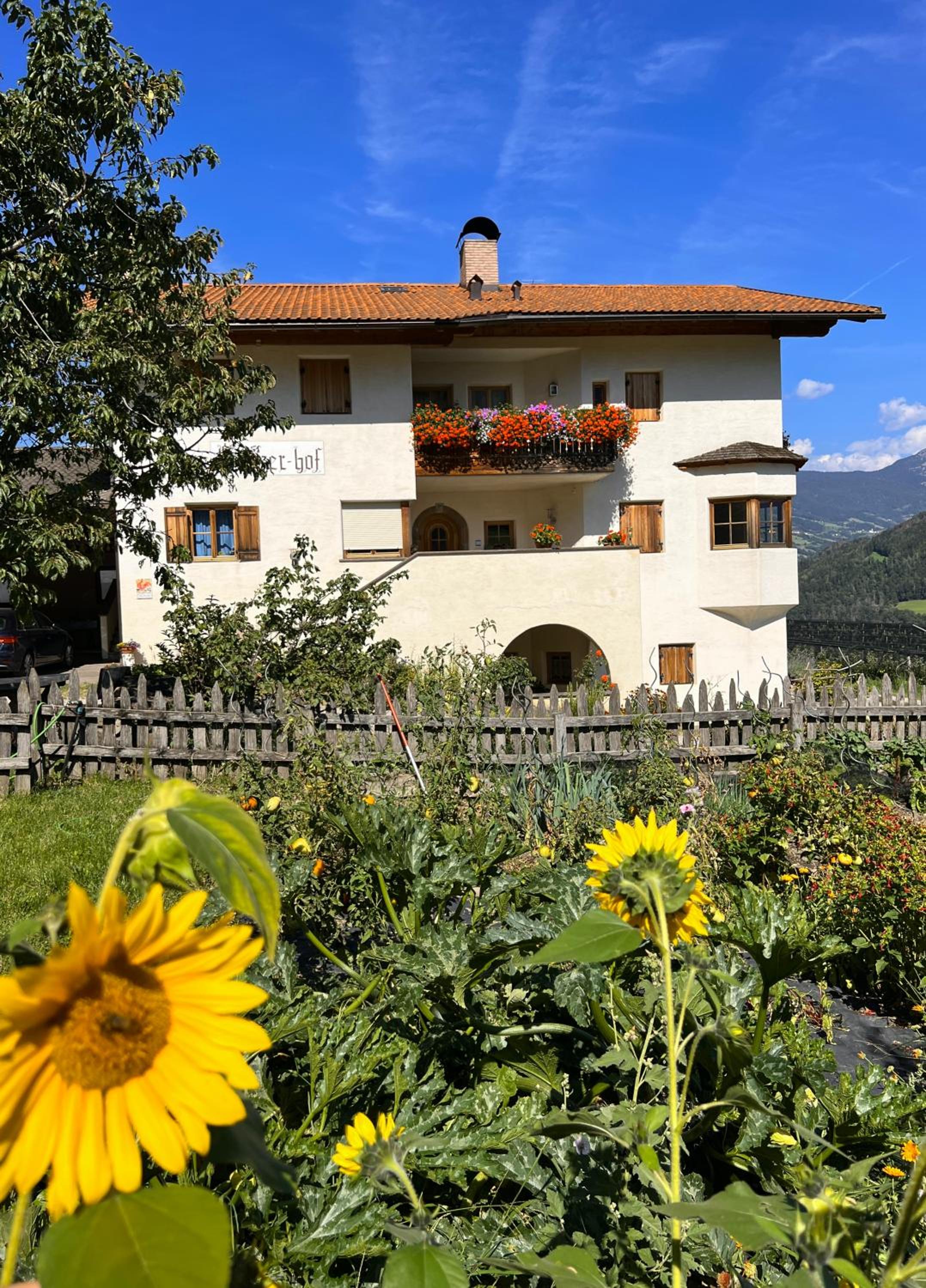Gasserhof view 4