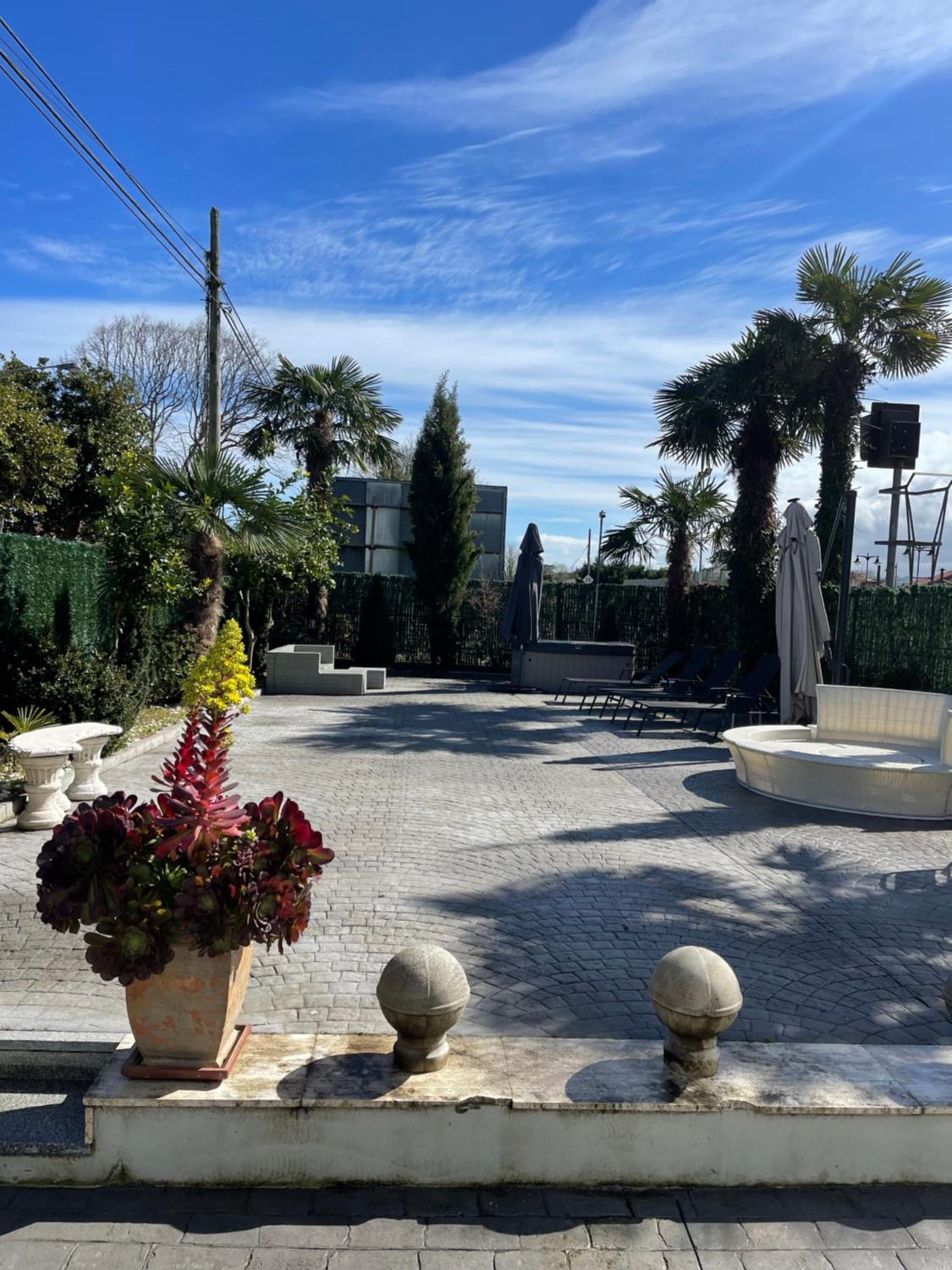 Photo 31